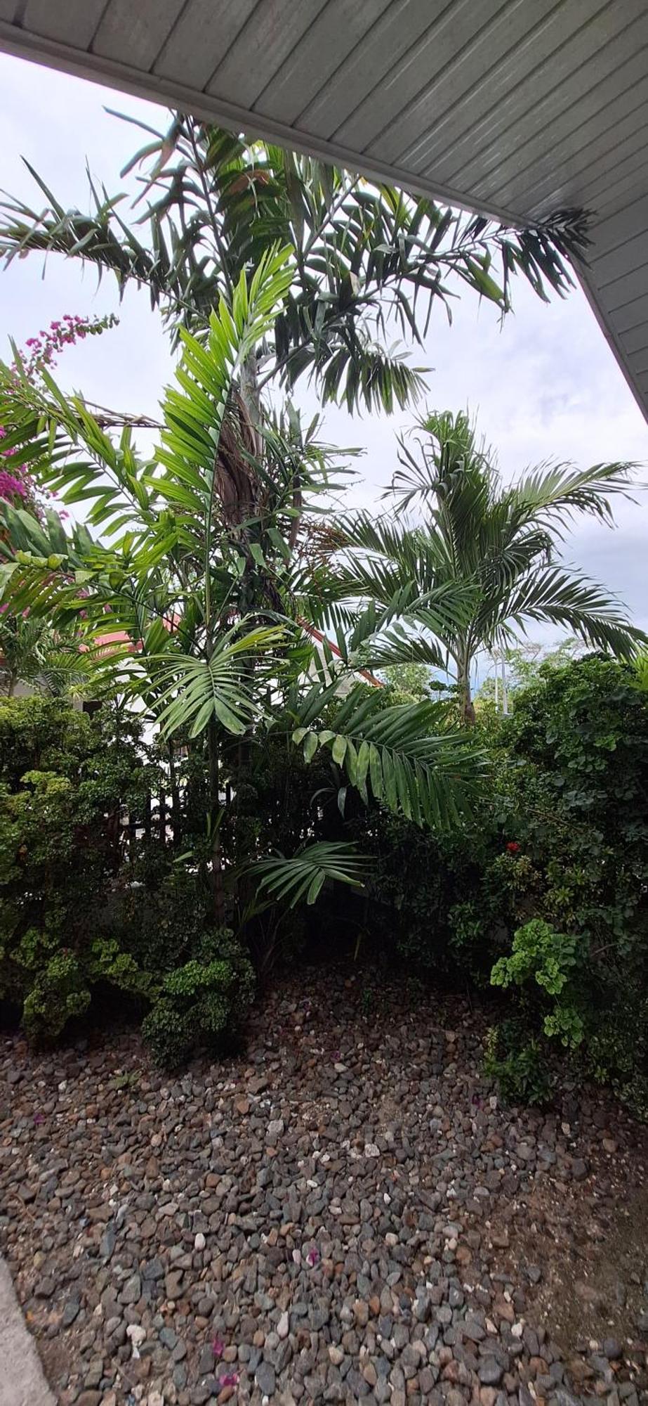 Garden Village Hotel Moalboal
