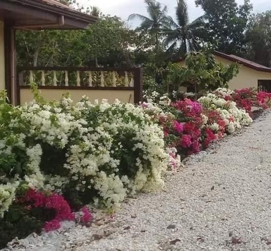 Garden Bahay bakasyunan Santander