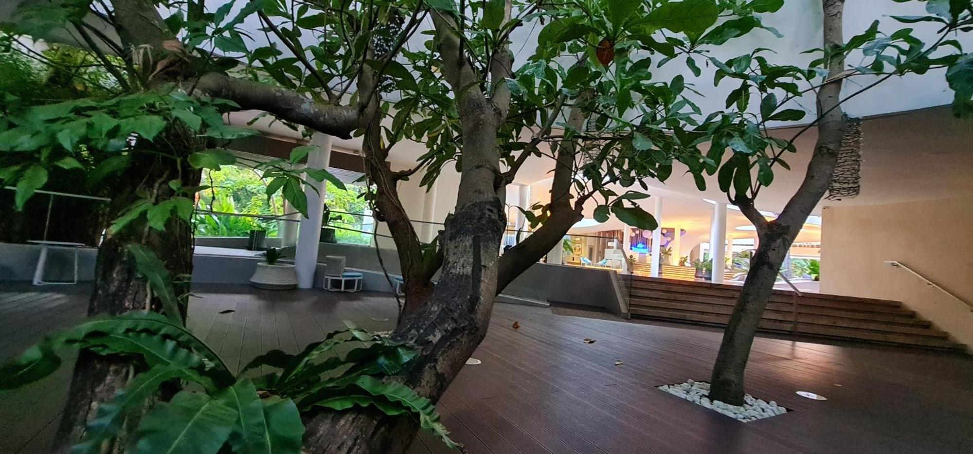 Apartment Tambuli Tower C Unit 5d