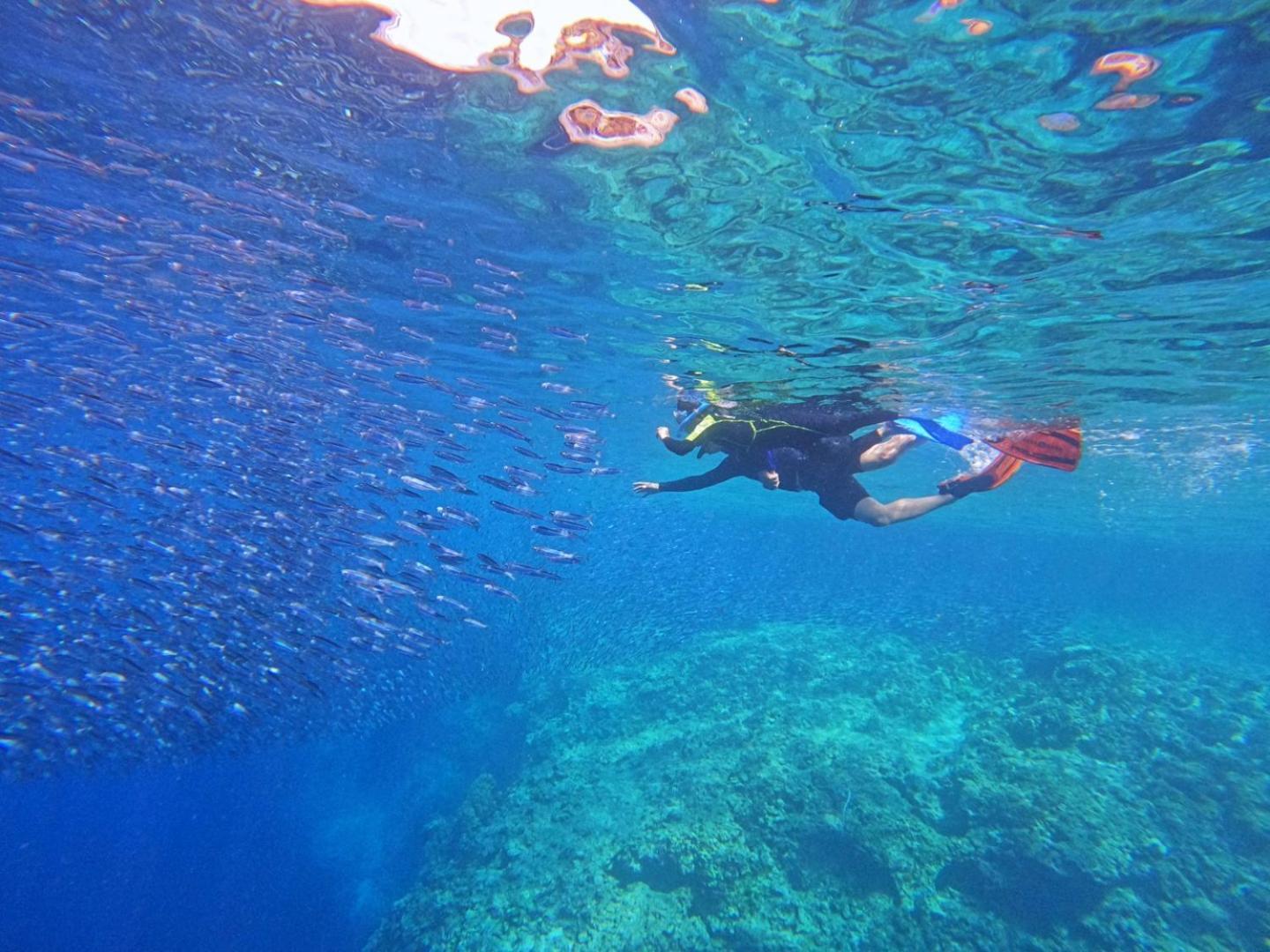 Brandnew Scuba Hotel *