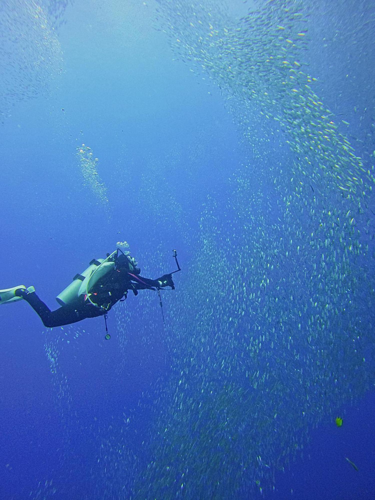 Brandnew Scuba * Basdiot