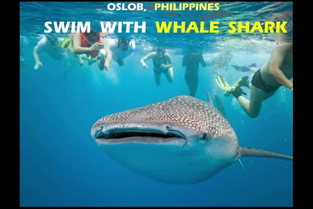 Pool, Wi-fi & Netflix In It Park Cebu