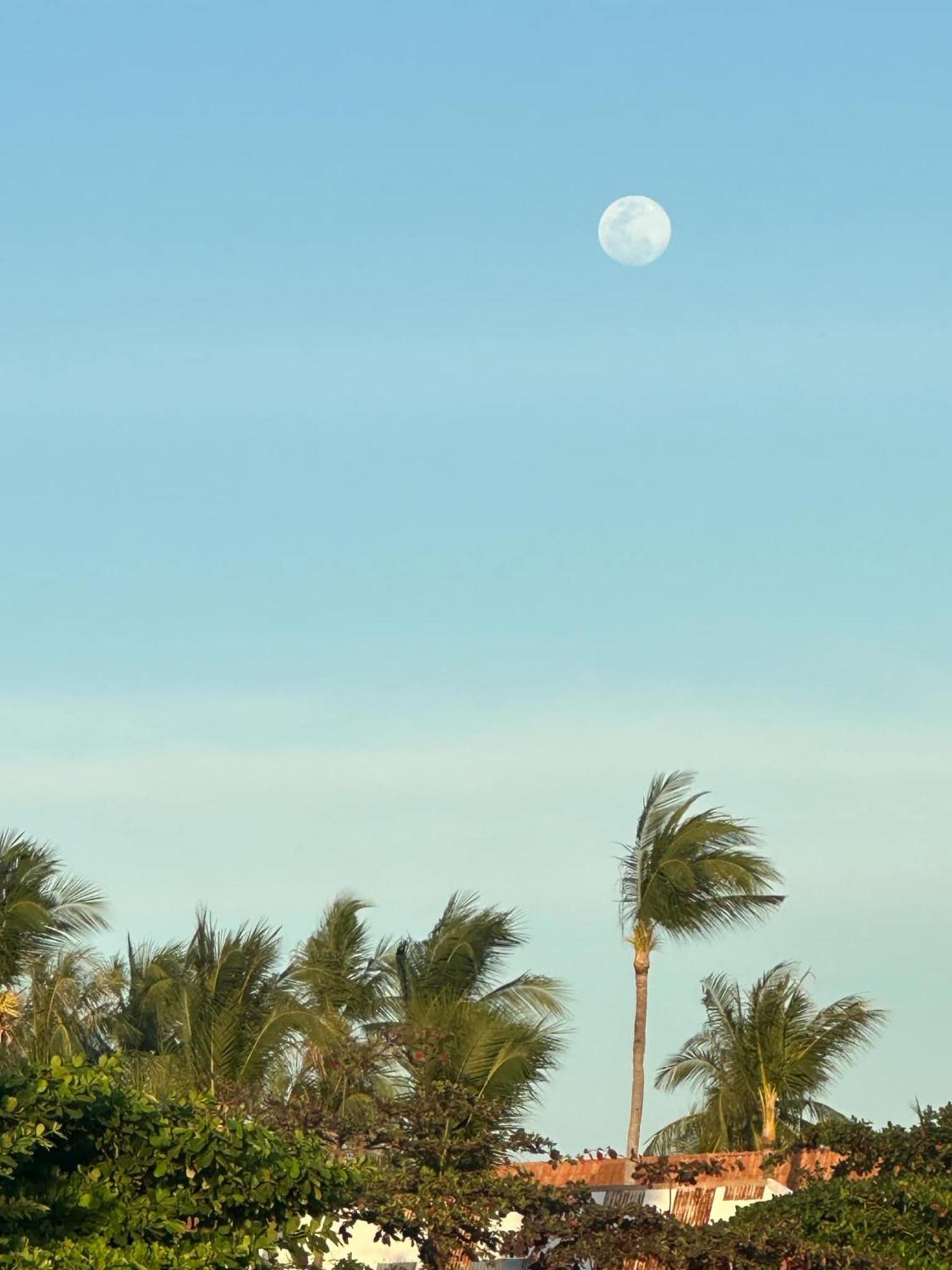 Hideaway Dreamisland * Pooc