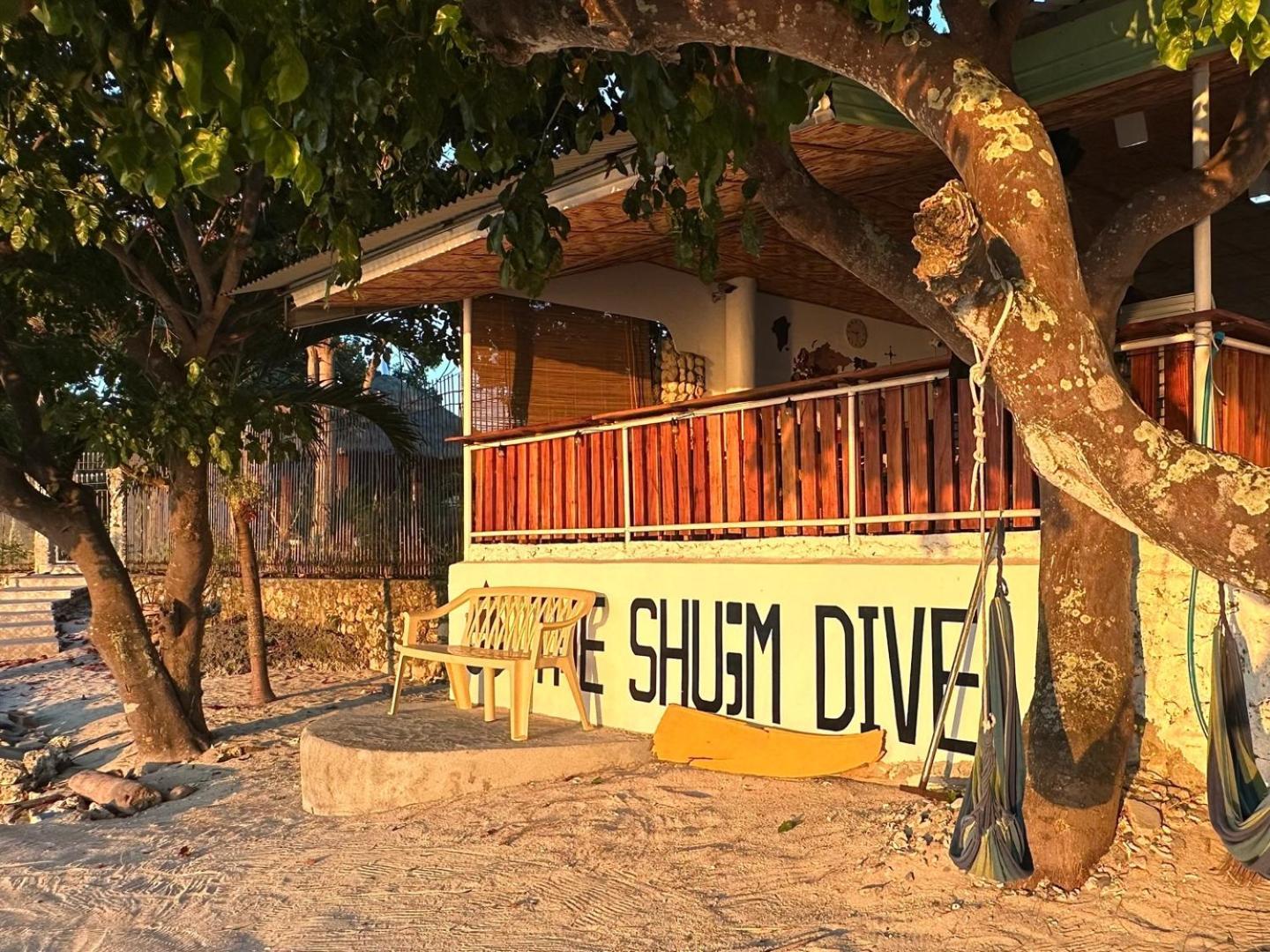 Hotel The Shuim Dive Moalboal