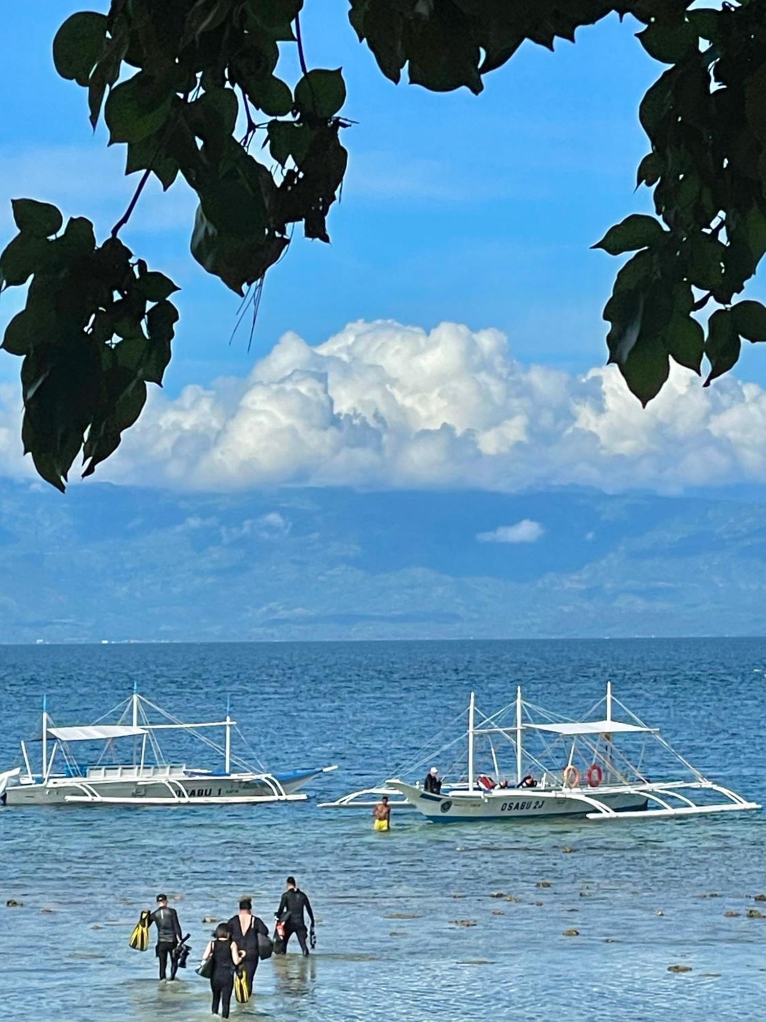 The Shuim Dive * Moalboal
