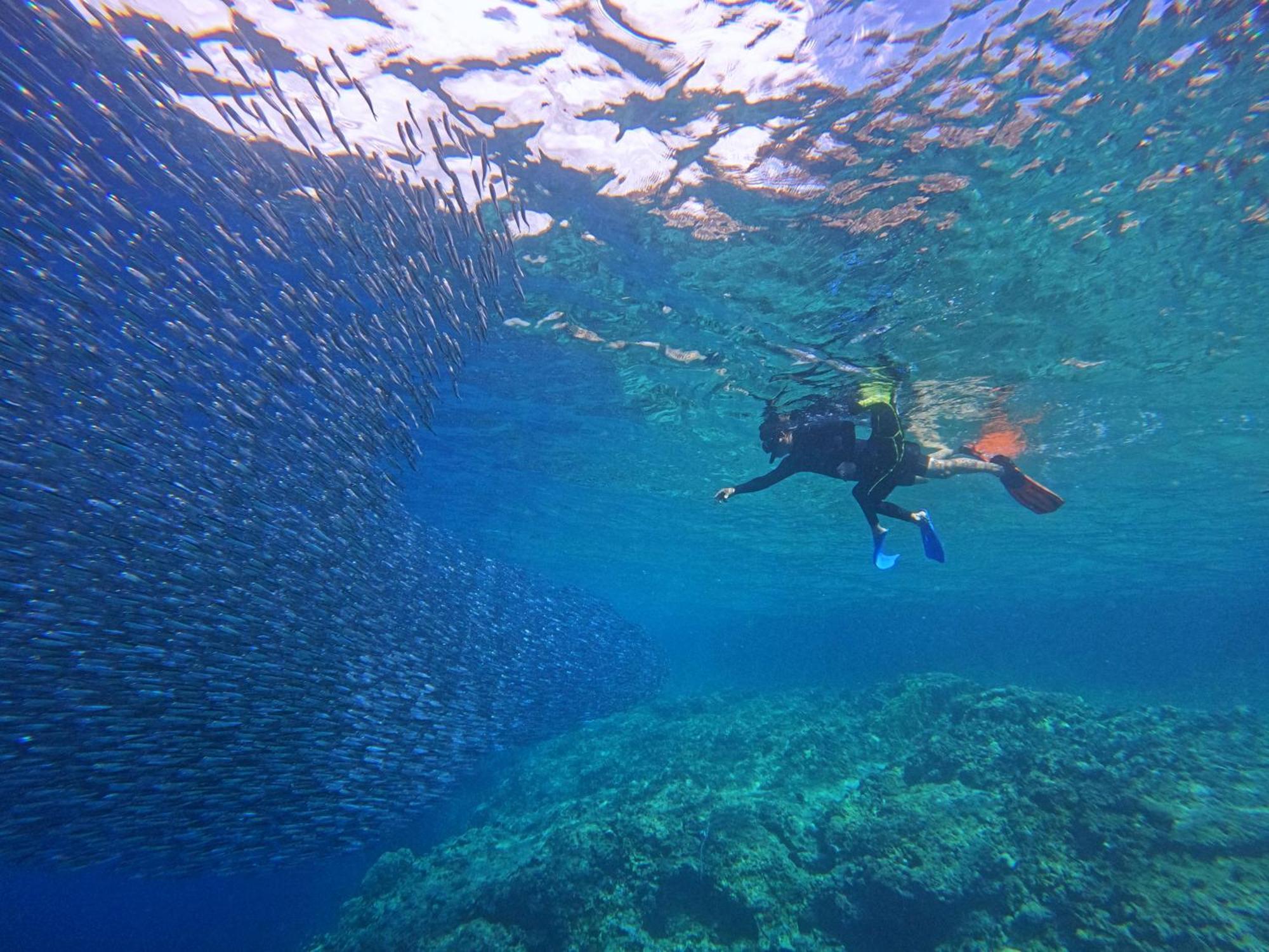 Hotel Brandnew Scuba *
