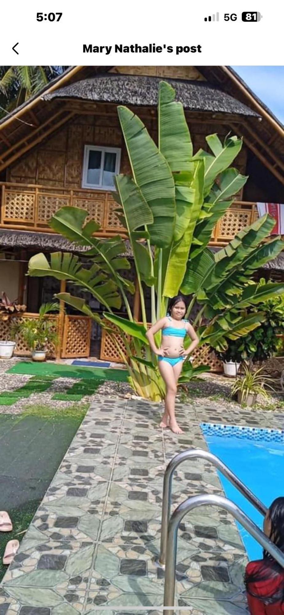 Elena & Guest house