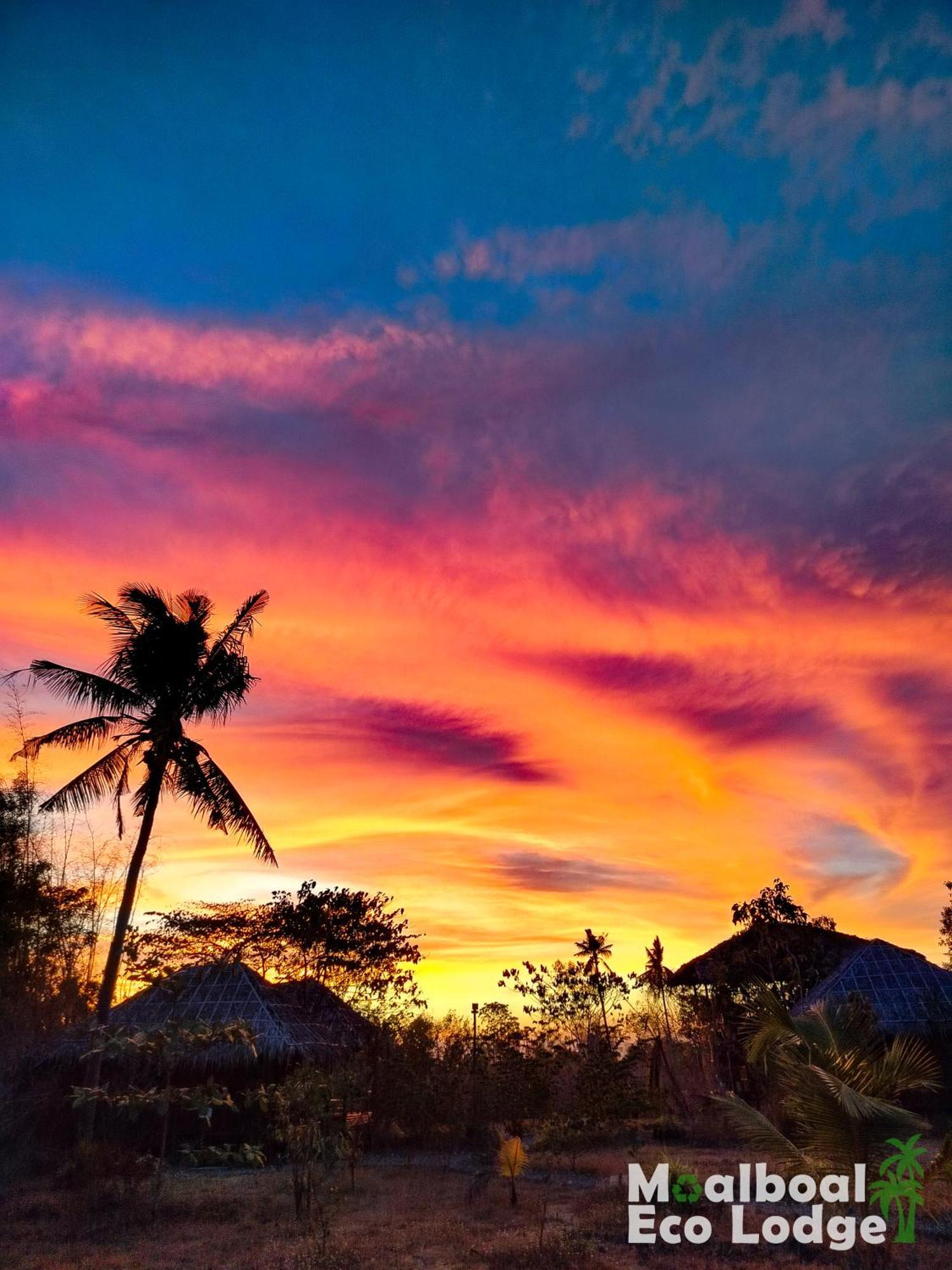 Lodge Eco Moalboal