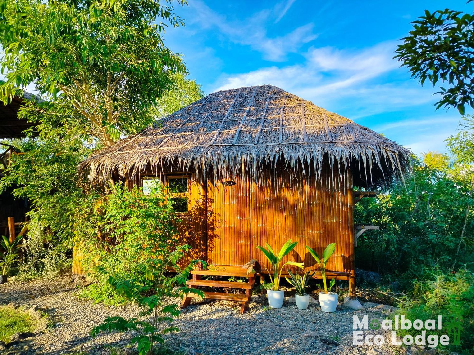 Lodge Eco