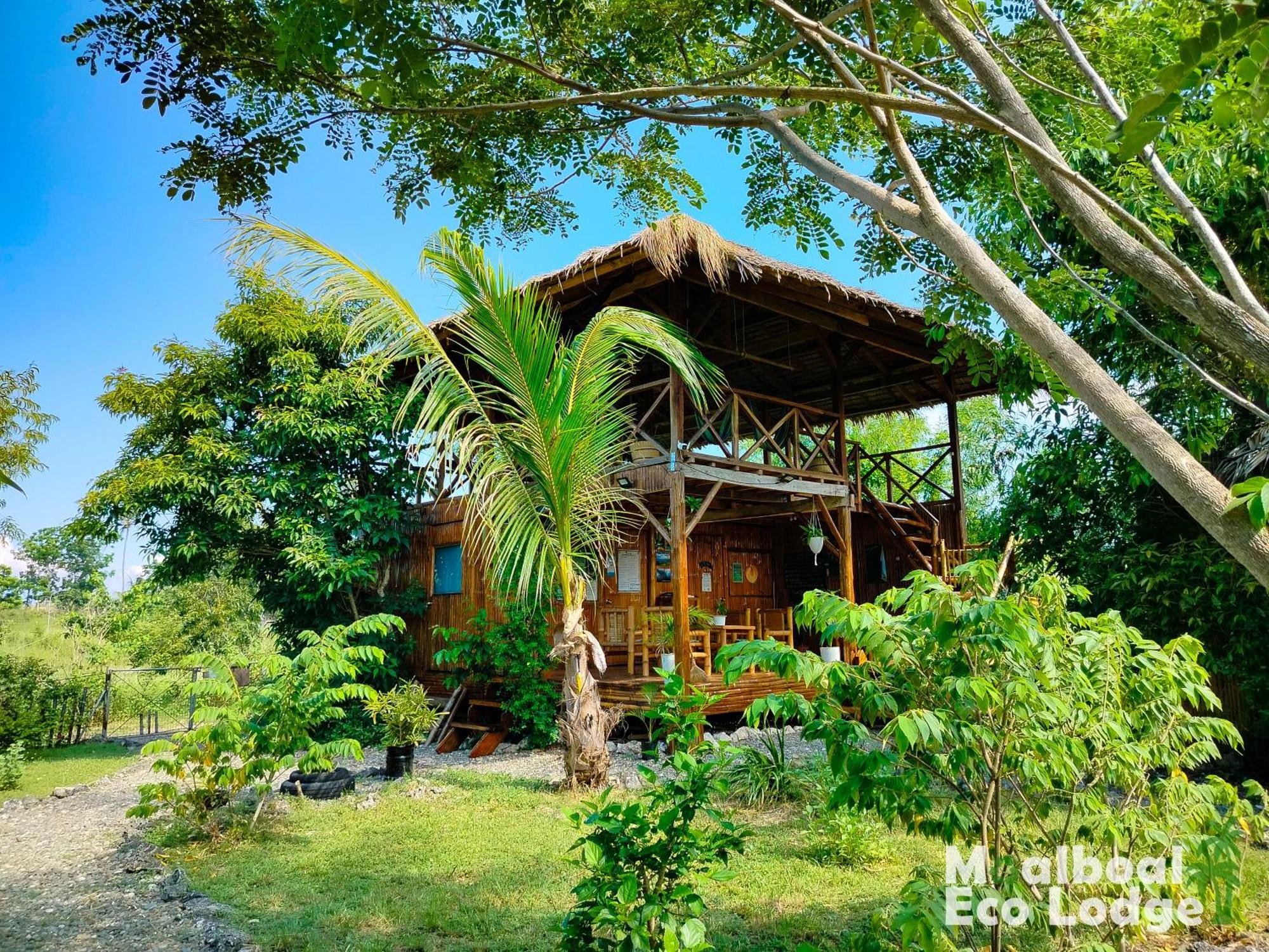 Eco Lodge Moalboal