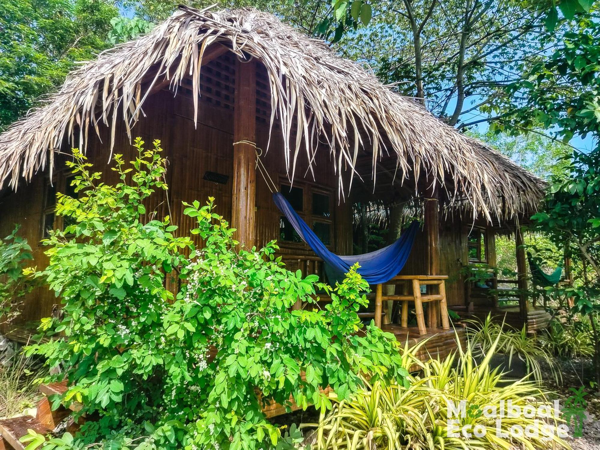 Eco Moalboal