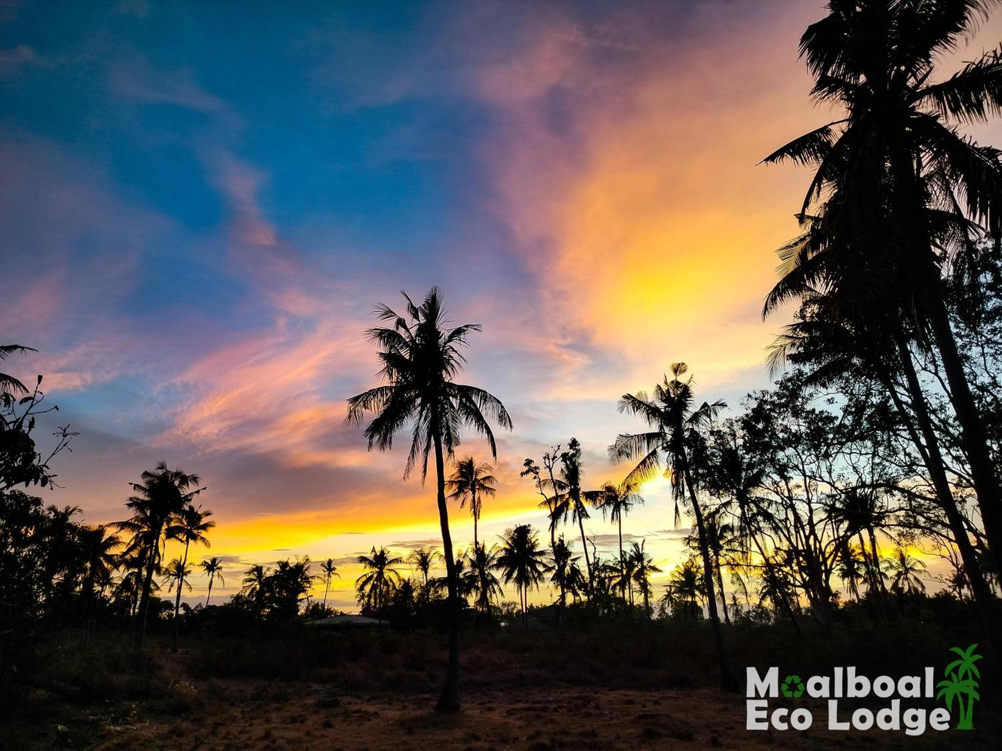 Eco * Moalboal