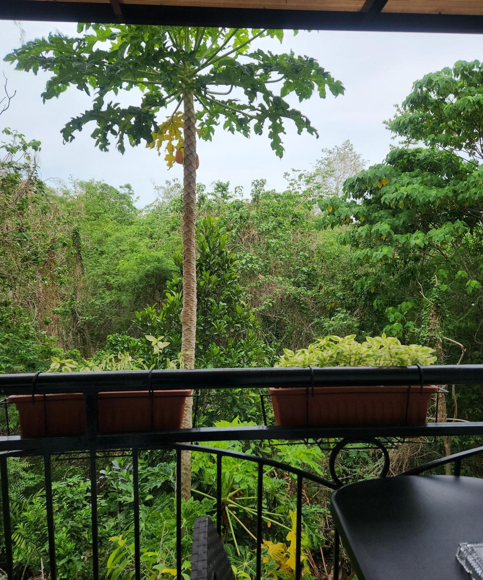 Azur B316 Near Airport, Netflix, Stylish, Cozy With Swimming Pool