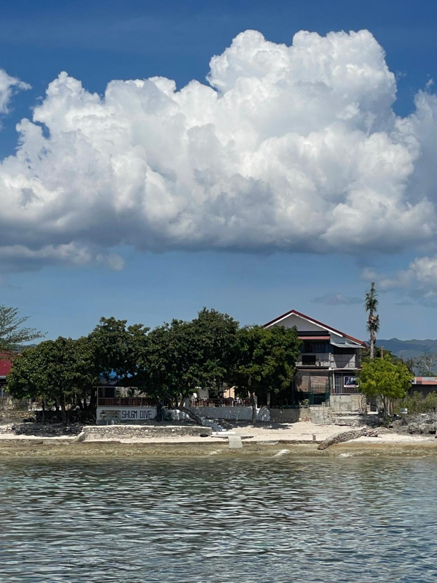 The Shuim Dive Moalboal