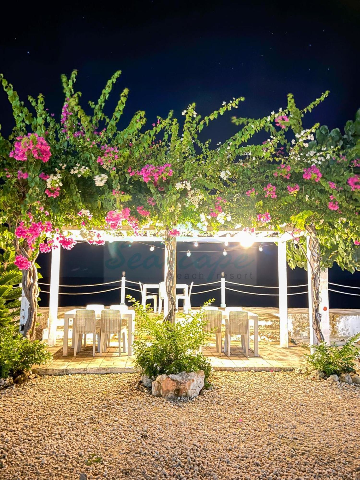 Seascape Resort 3*