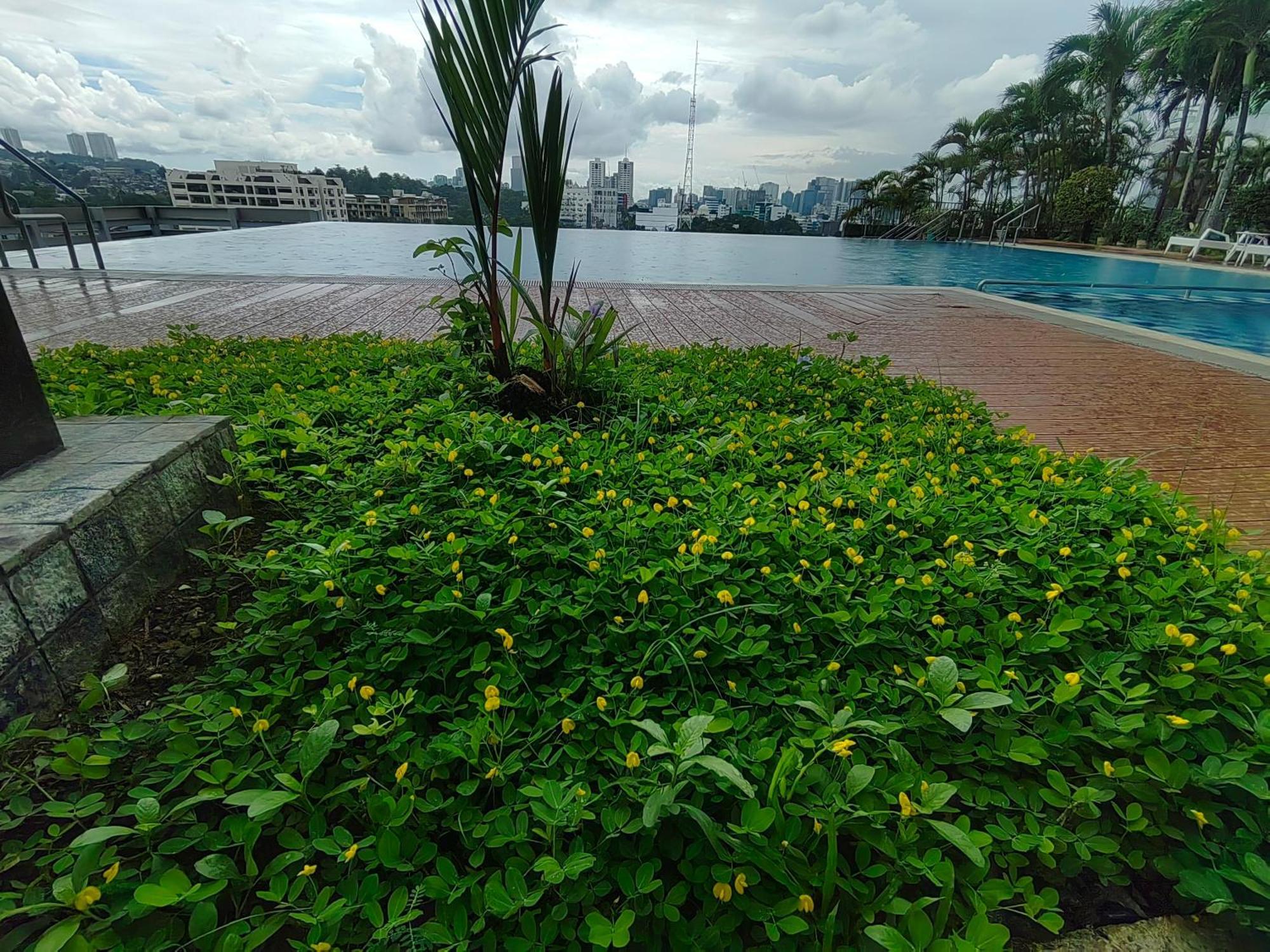 Aparthotel Mia Casa One Pavillon Place Cebu