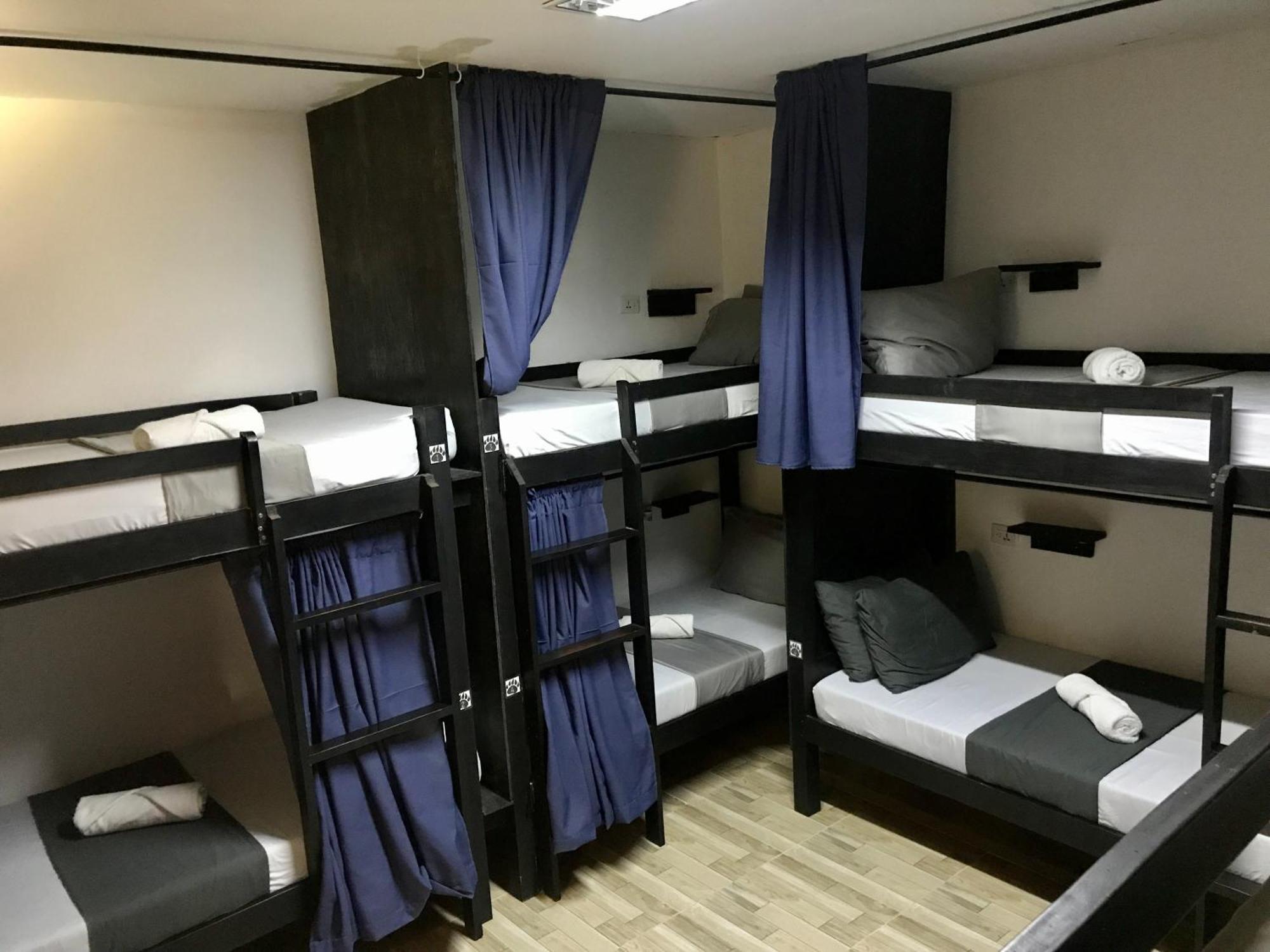 Crazy Bears Hostel Moalboal