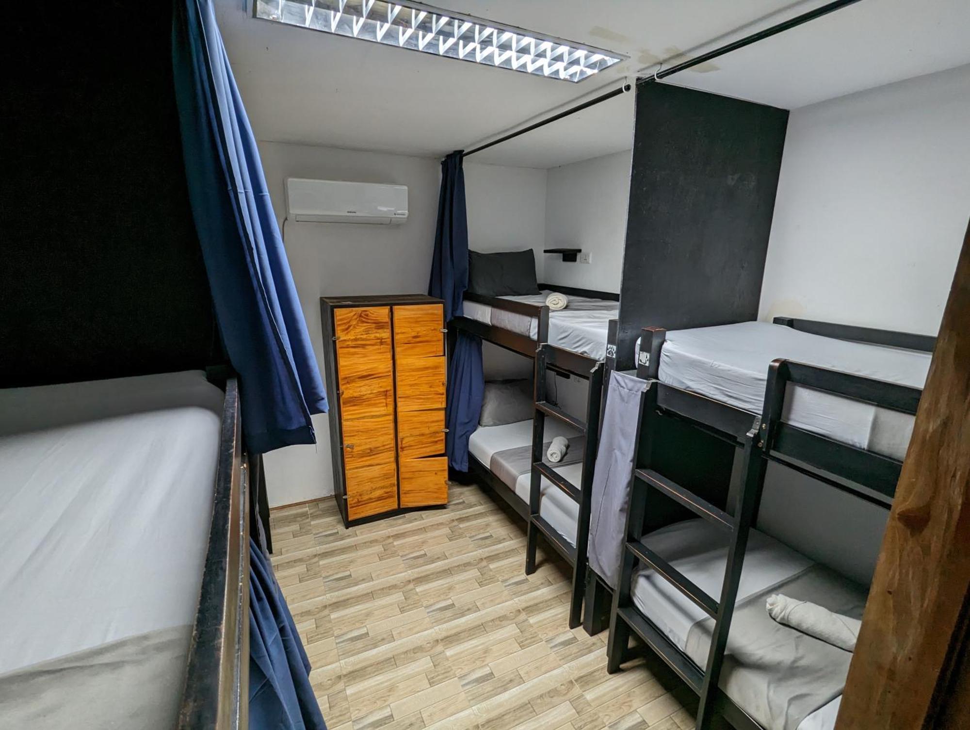 Crazy Bears Hostel Moalboal