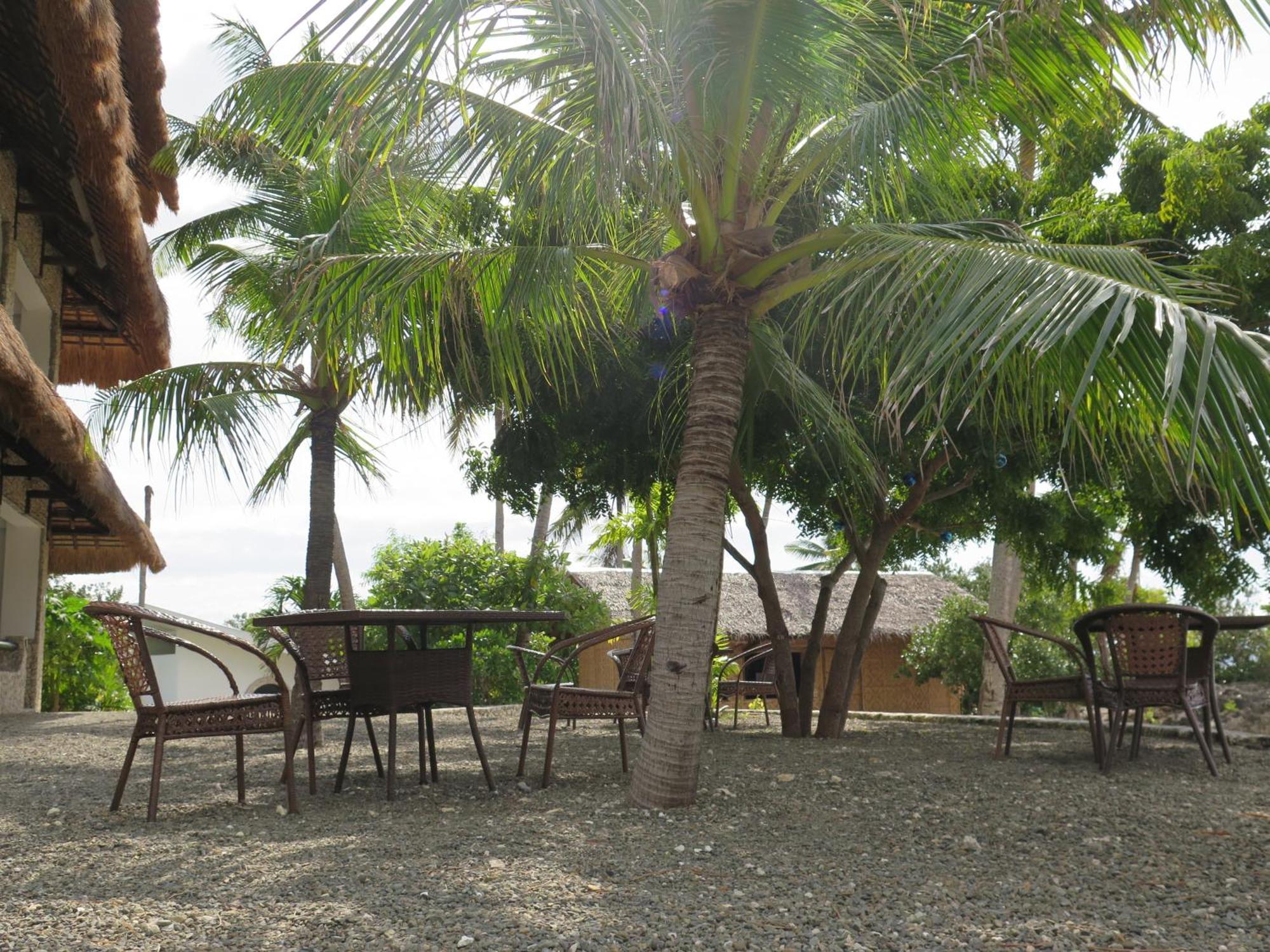 The Wild Orchid - Resort Moalboal