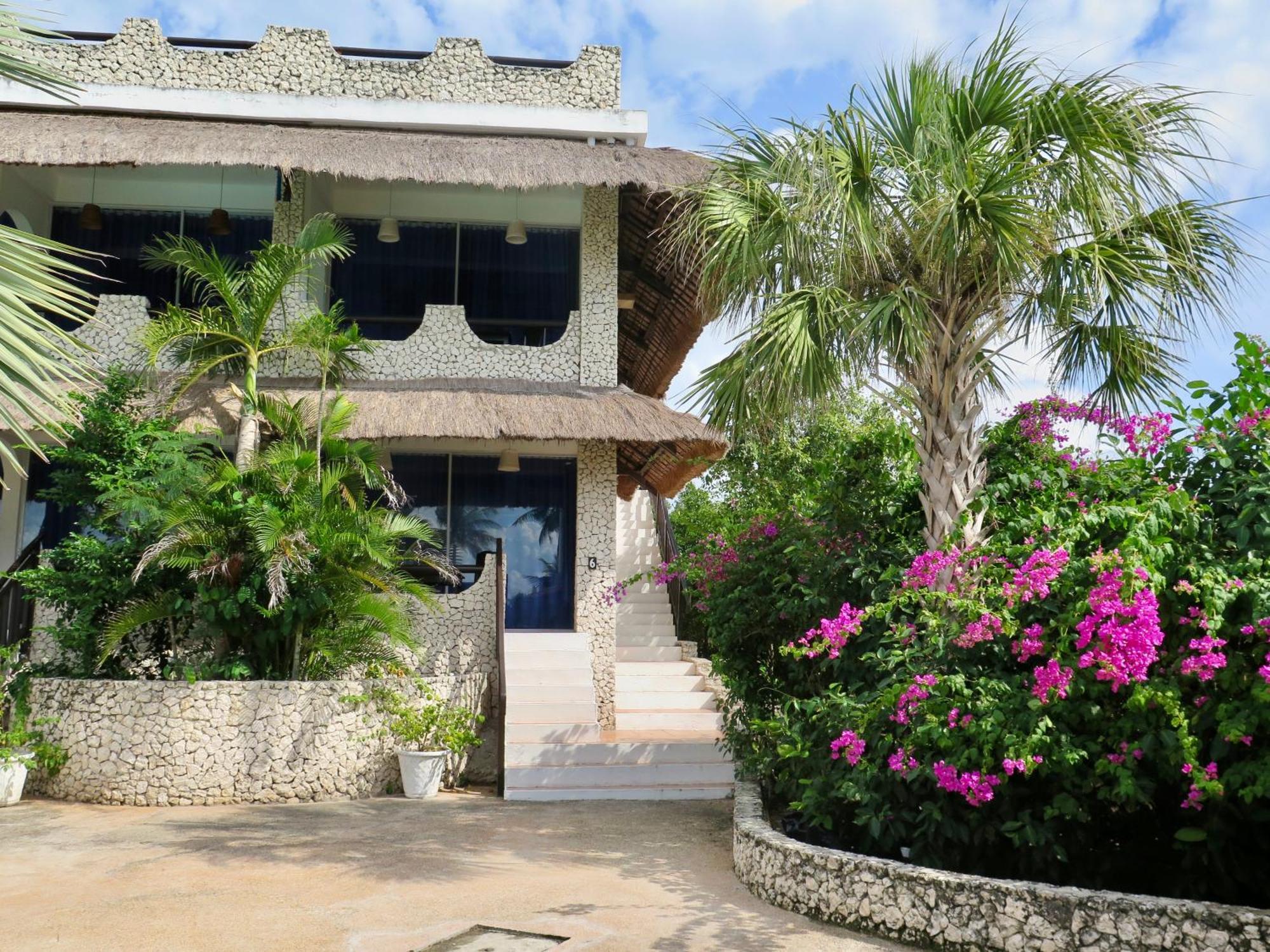 The Wild Orchid - * Moalboal