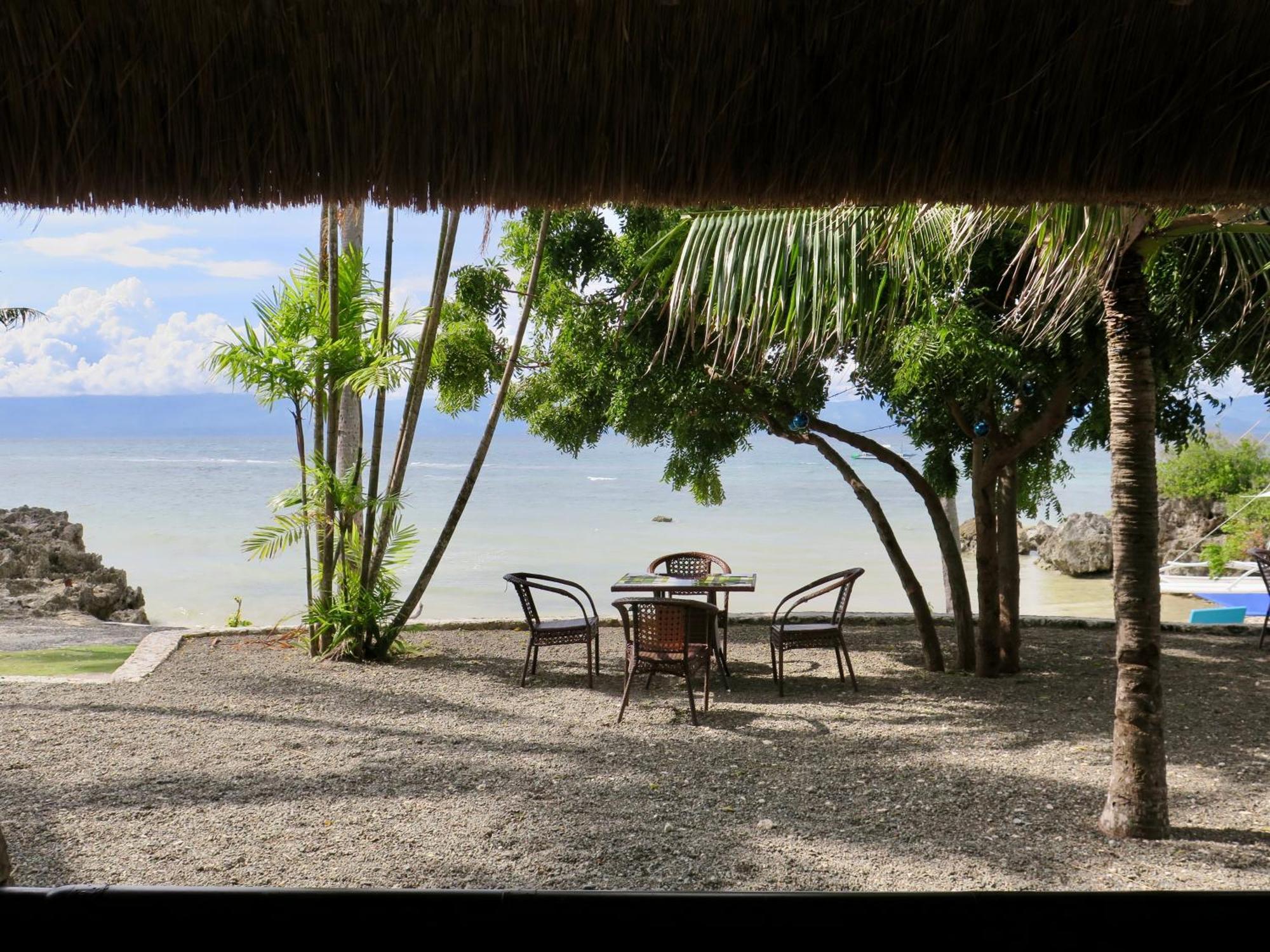 The Wild Orchid - Moalboal