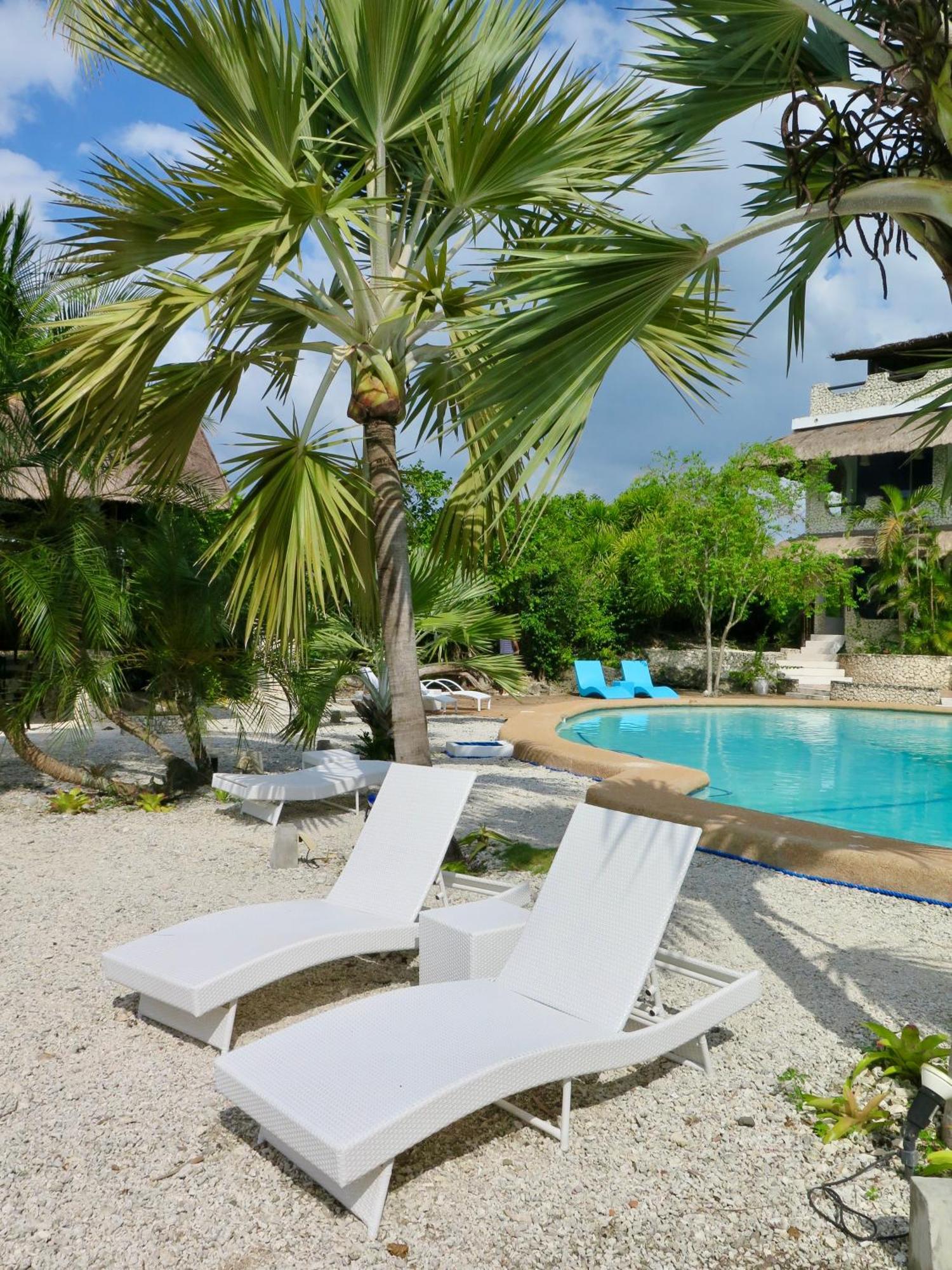 Resort The Wild Orchid - *