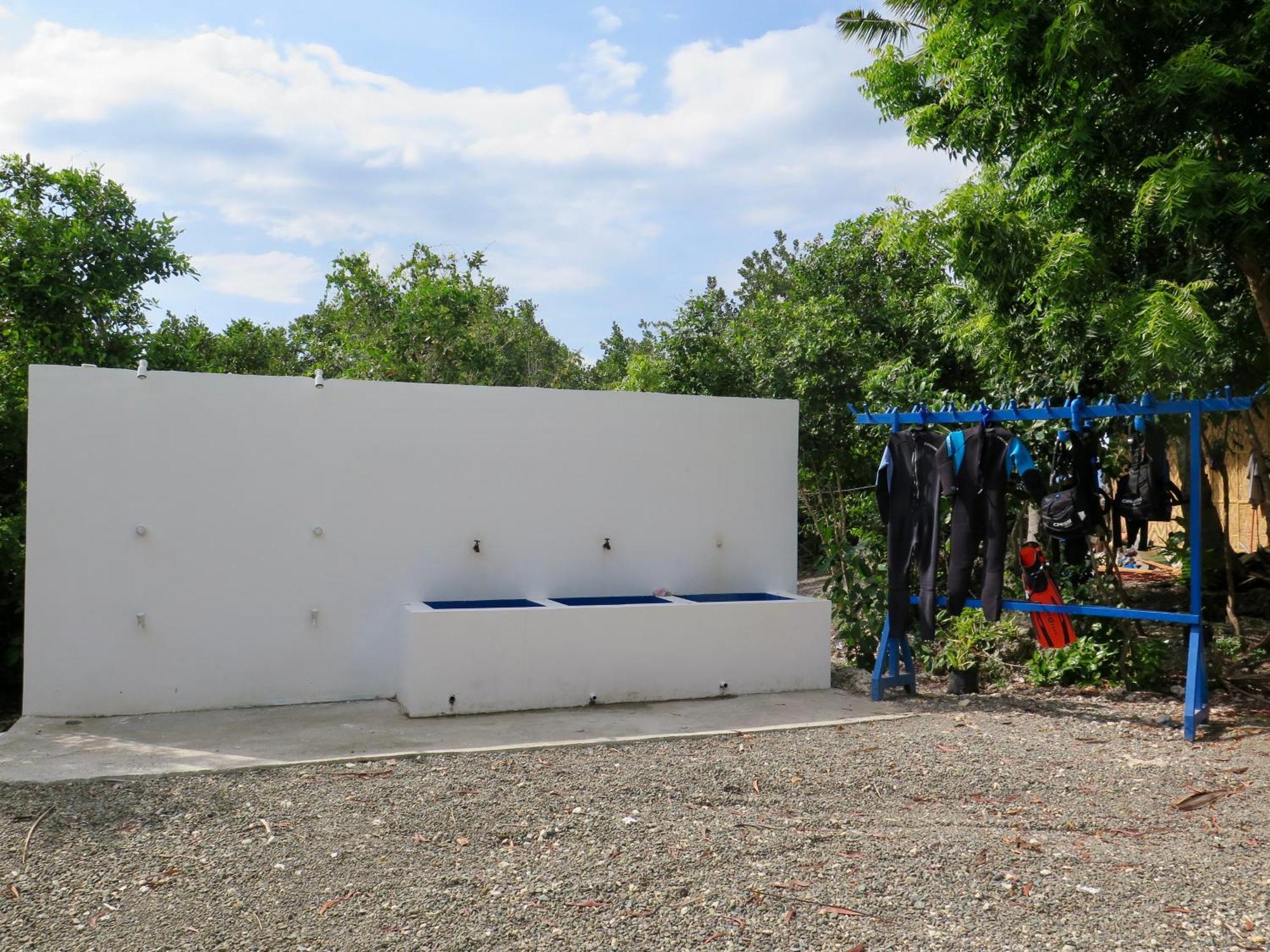 The Wild Orchid - Moalboal