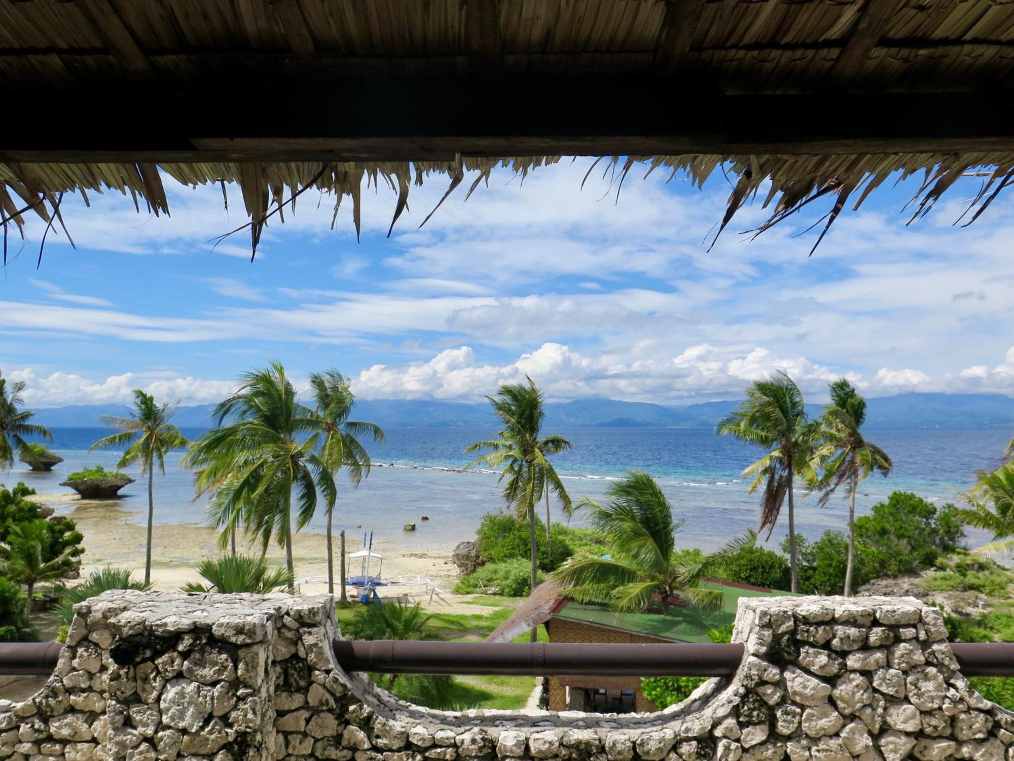 The Wild Orchid - Resort Moalboal