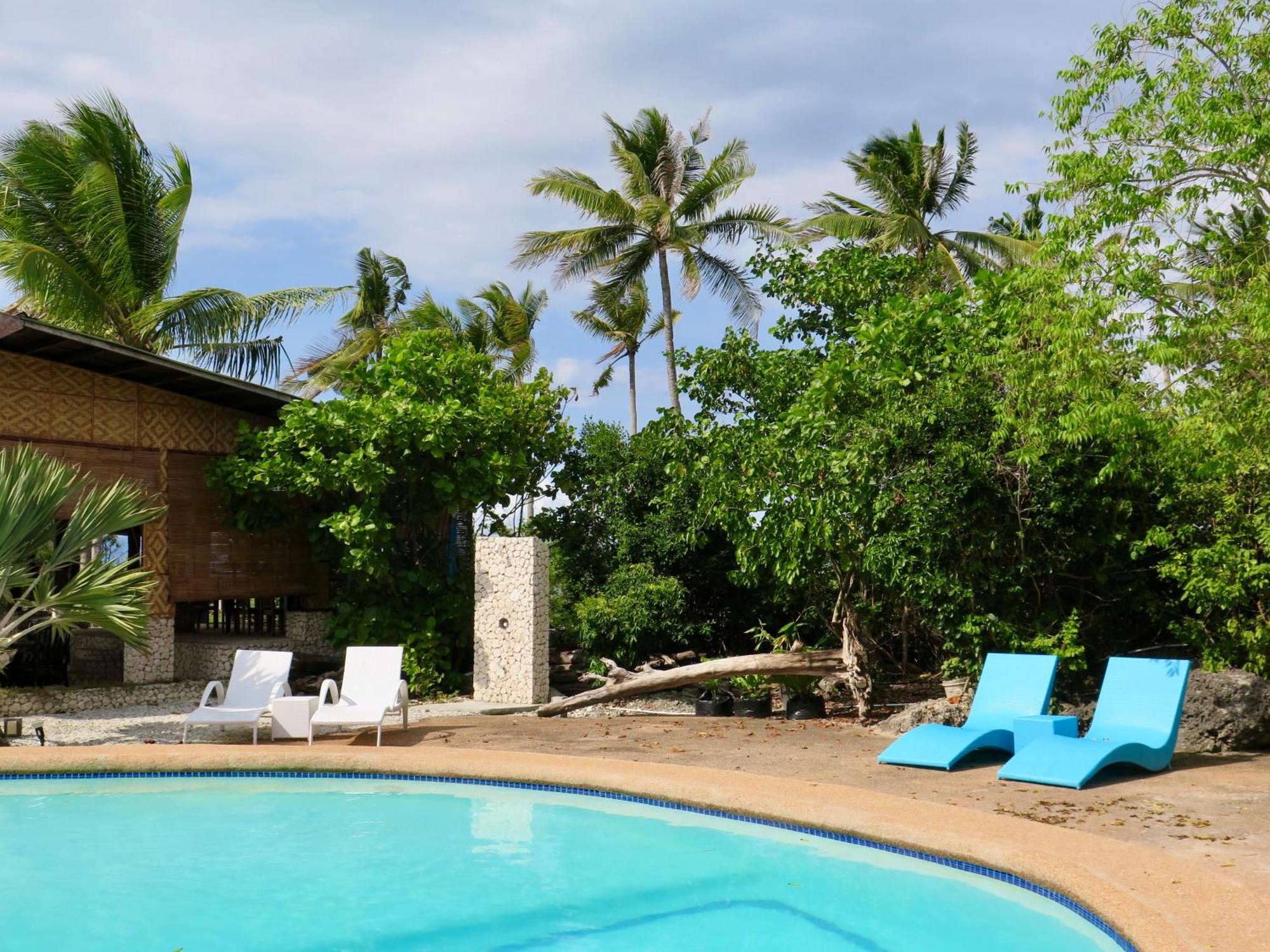 The Wild Orchid - Moalboal
