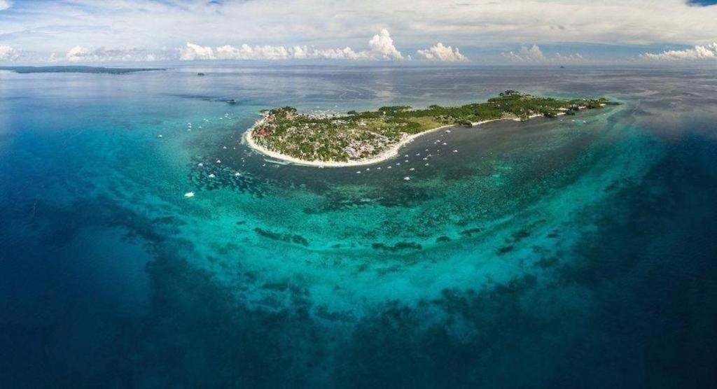 Resort Ocean Vida And Dive