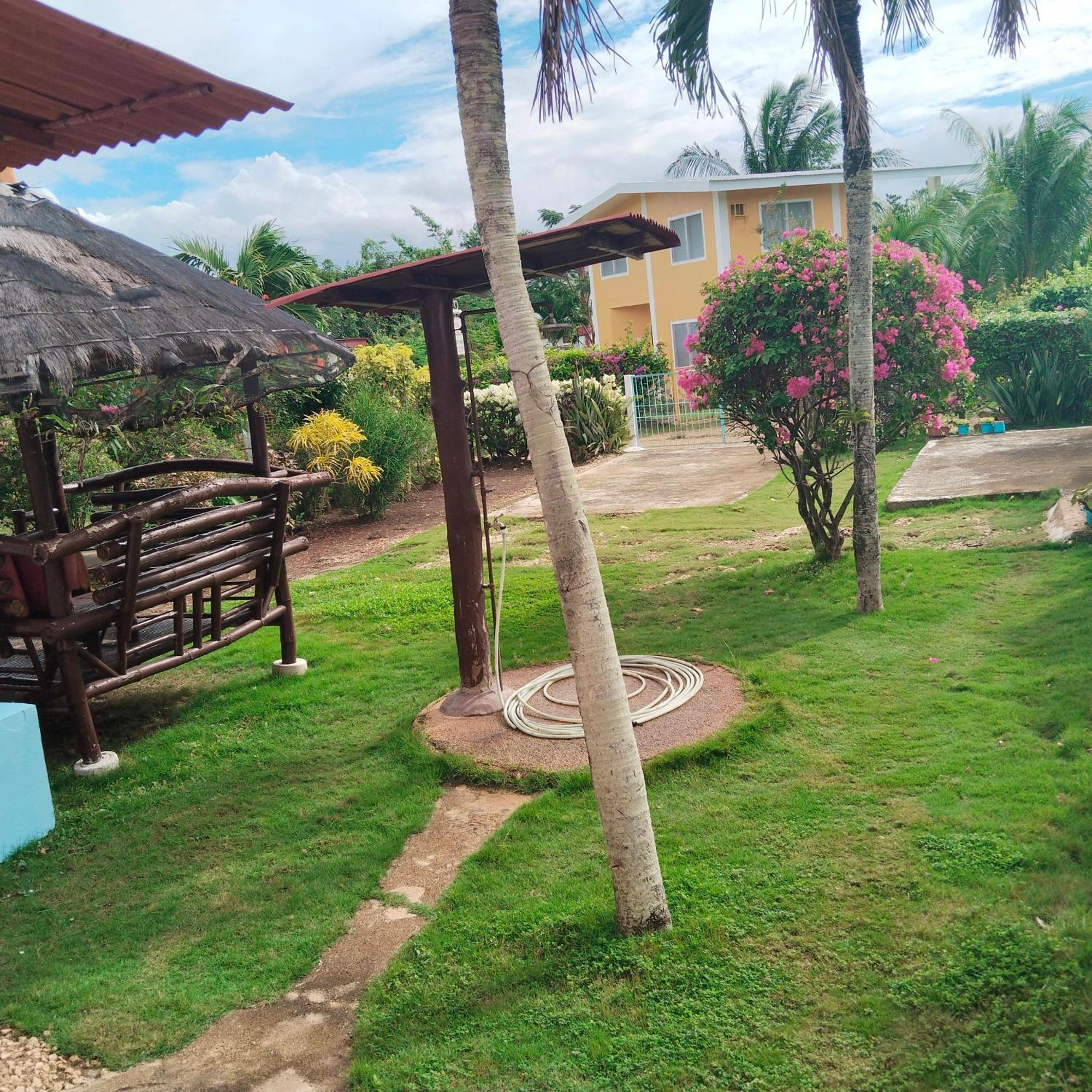 Michelle's Alcoy