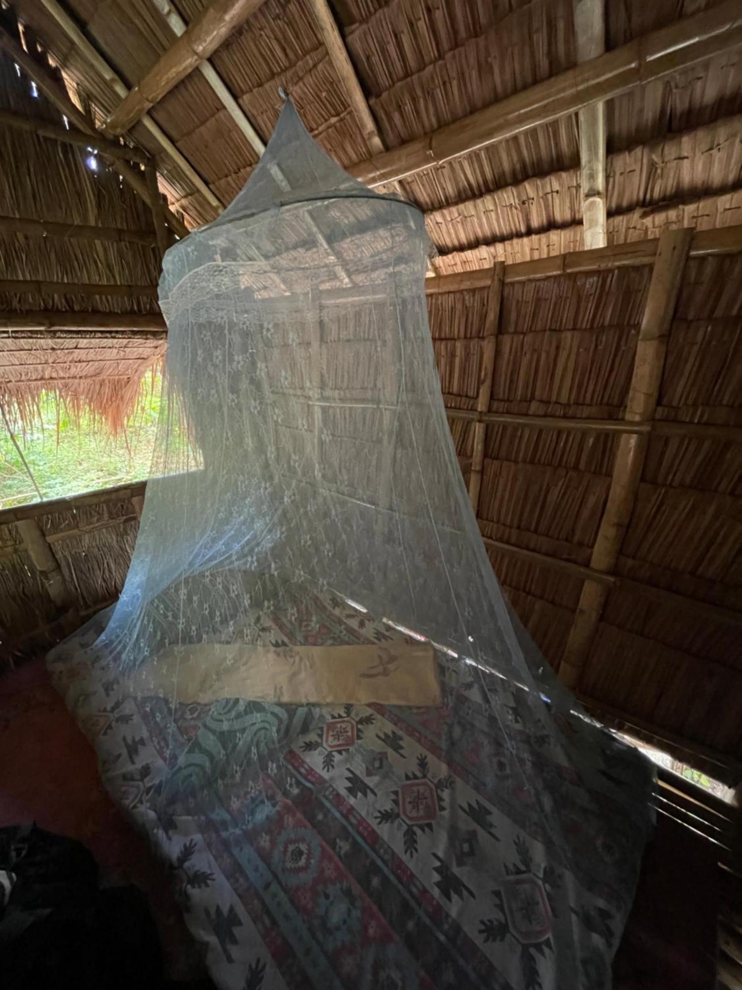 Tribal Huts Community Hostel *