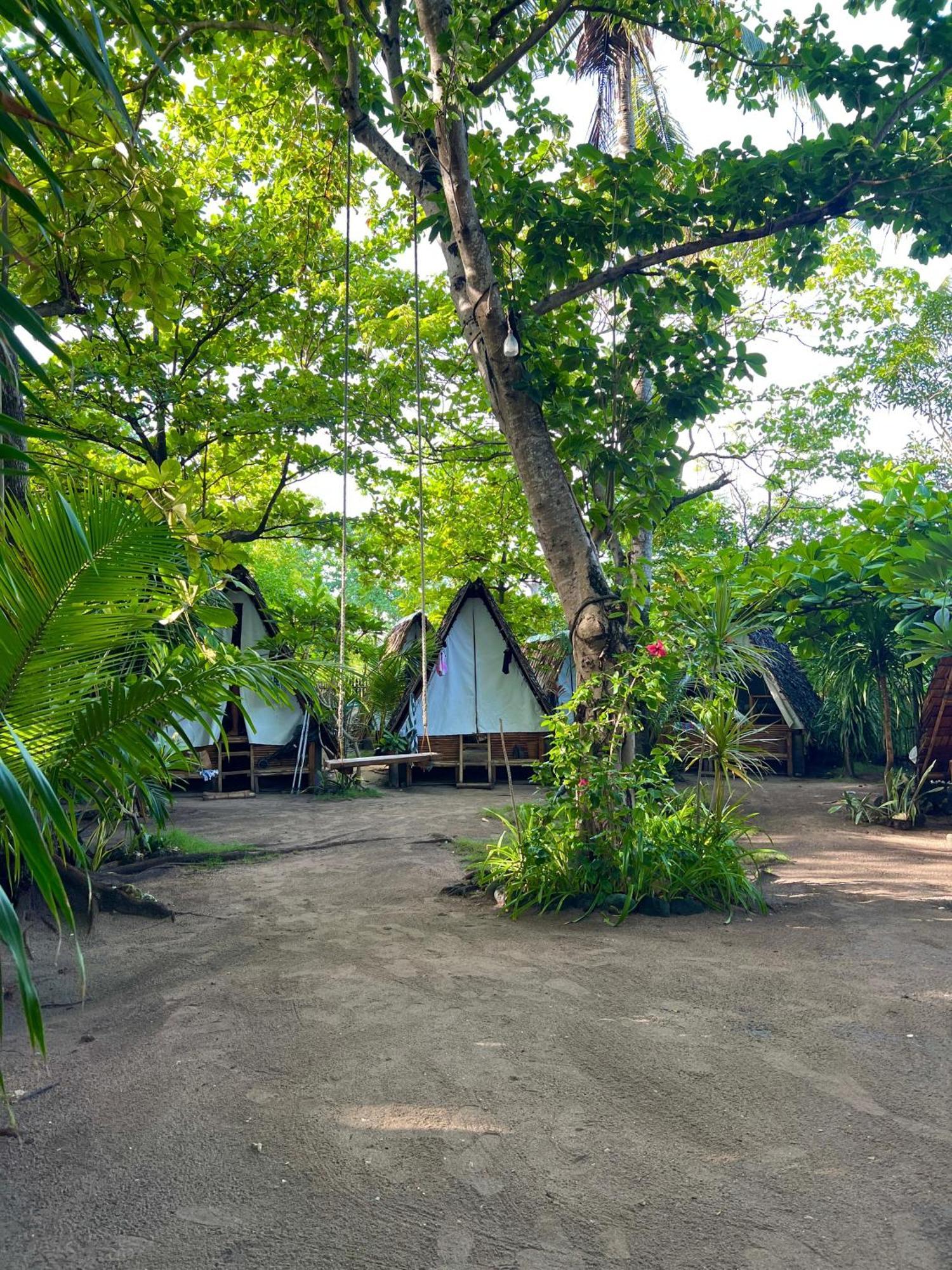 Hostel Georgia's Neverland Logon