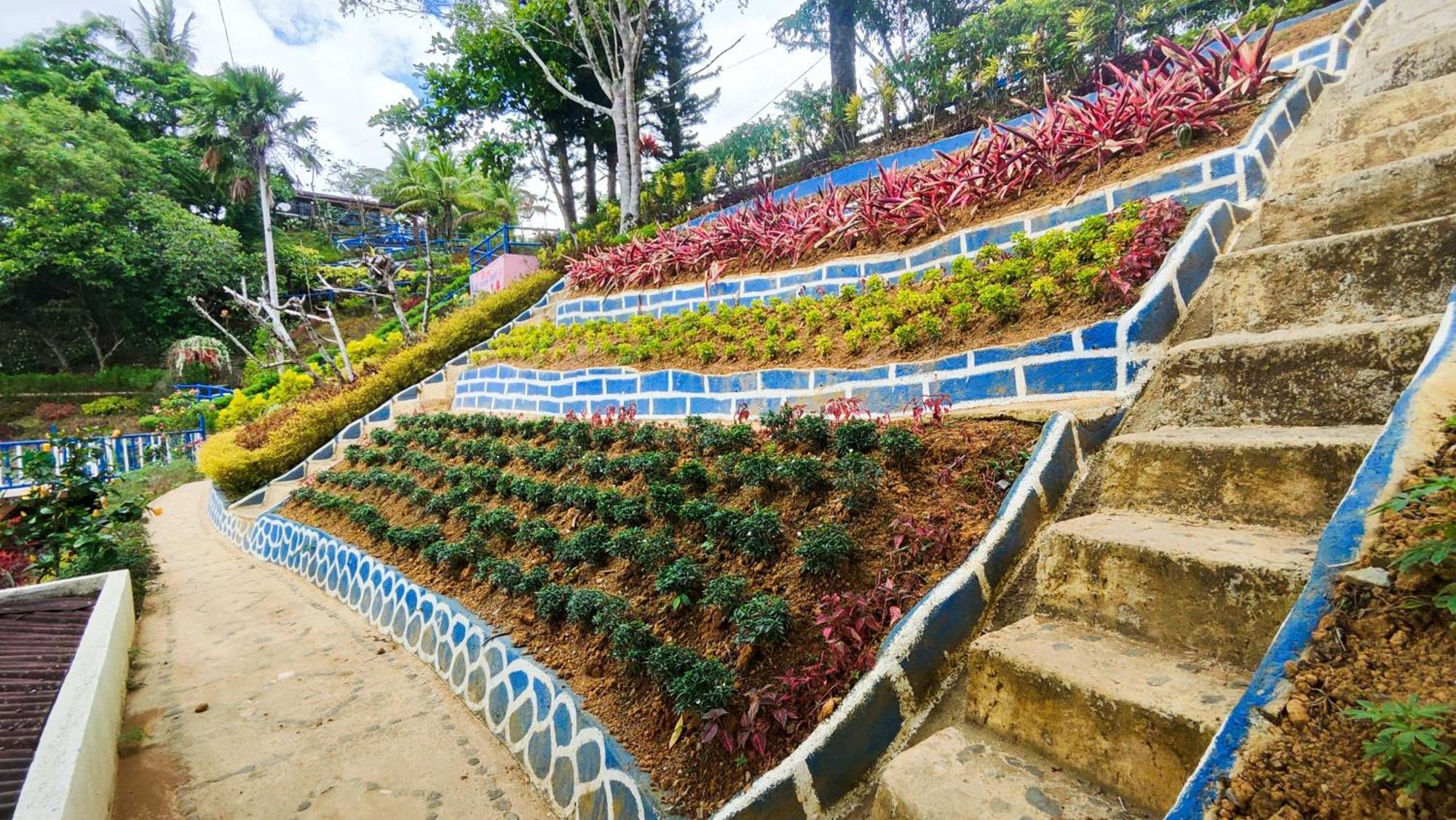Hotel Island Skyview - Jvr By Hiverooms Balamban