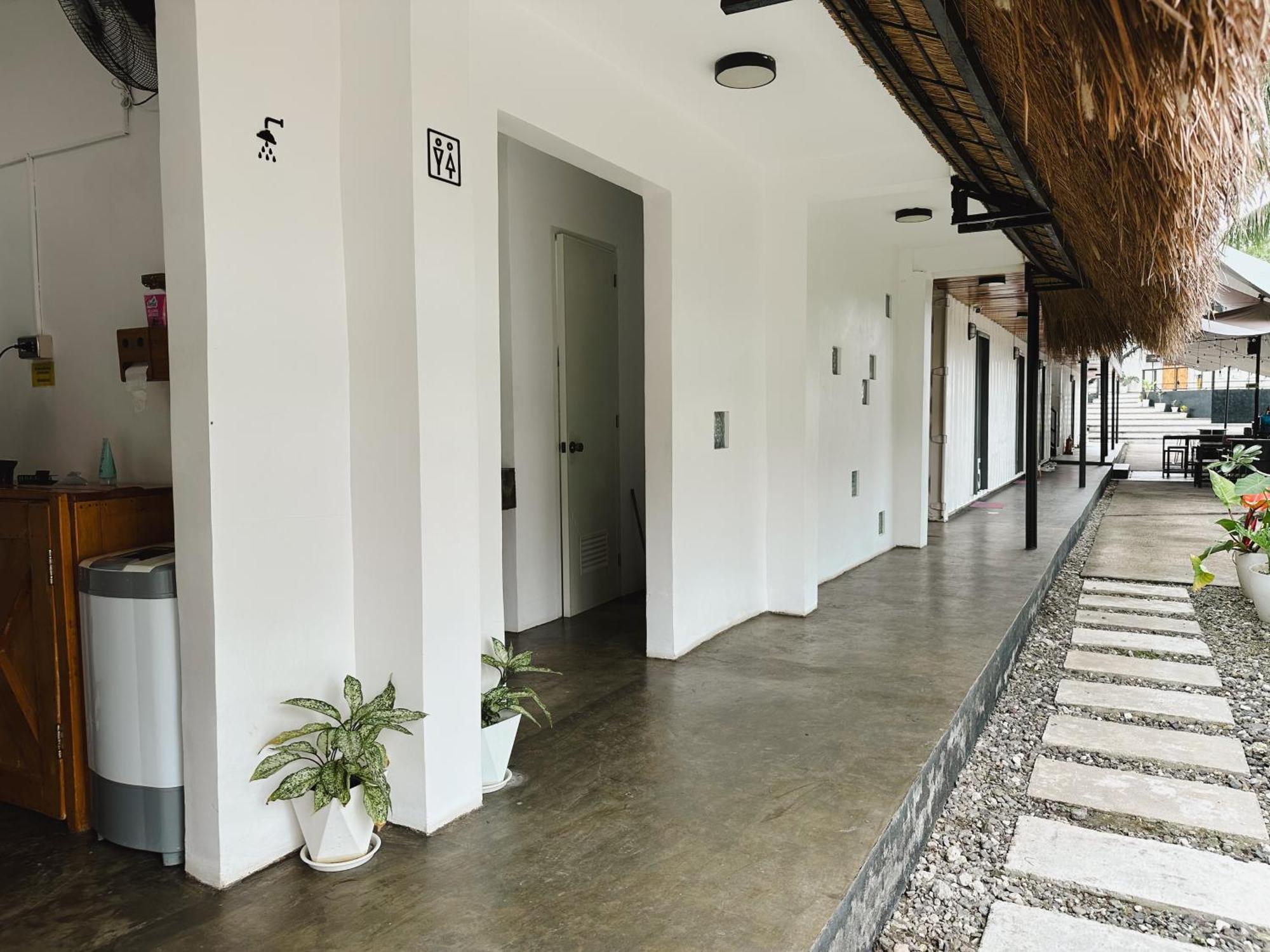 Pig Dive Hostel Moalboal