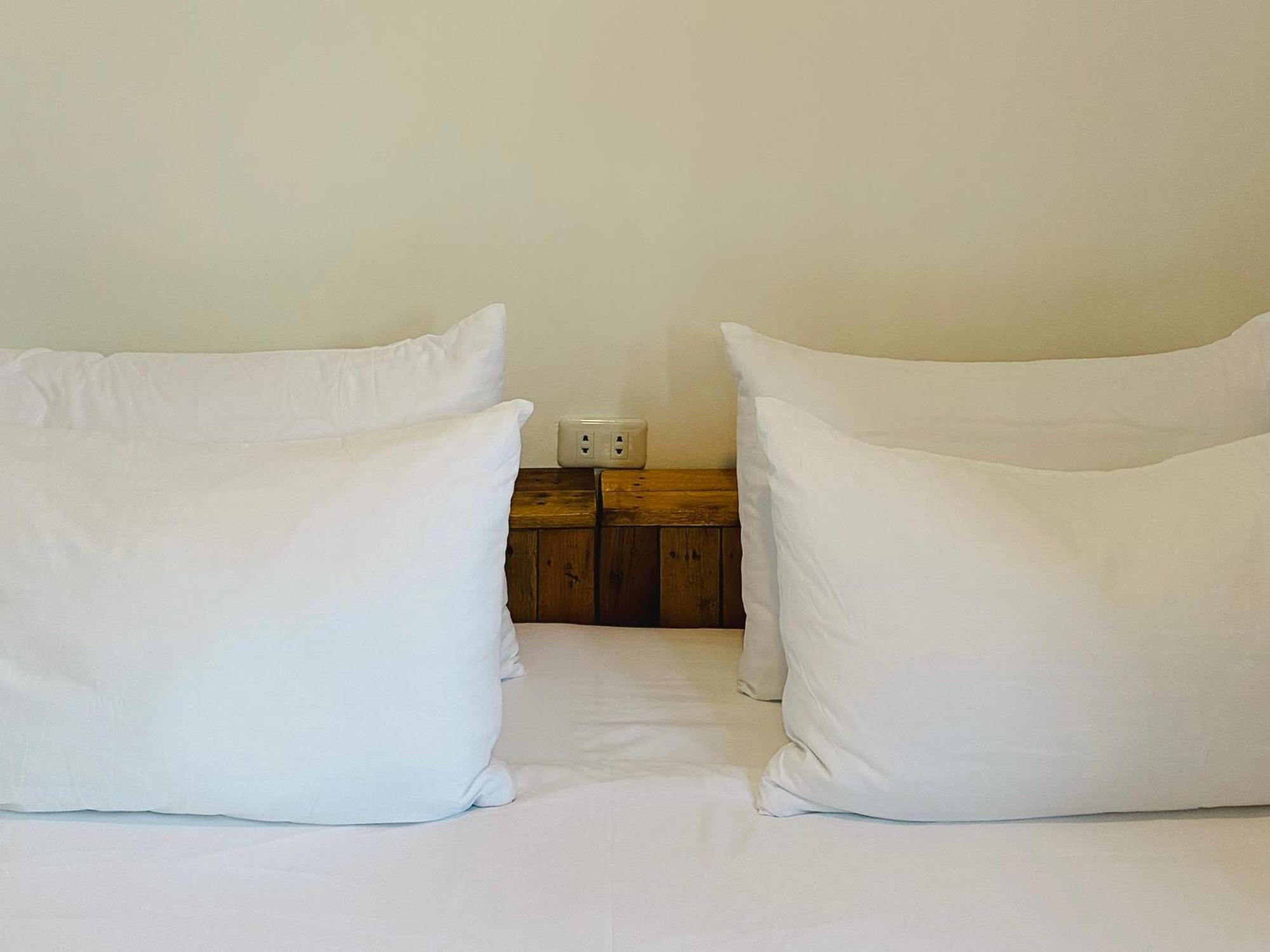 Pig Dive Hostel Moalboal