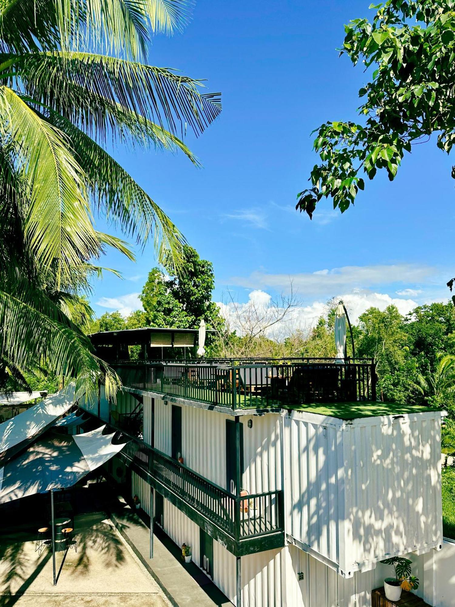 Pig Dive Hostel *