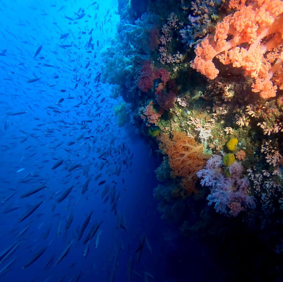 East Moalboal