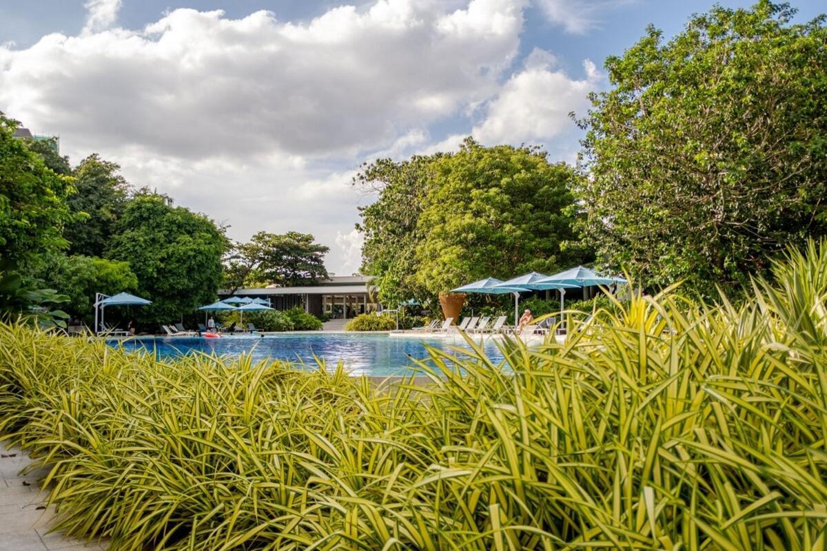 Apartment Tambuli Seaside Living 2br- Sea Vieww