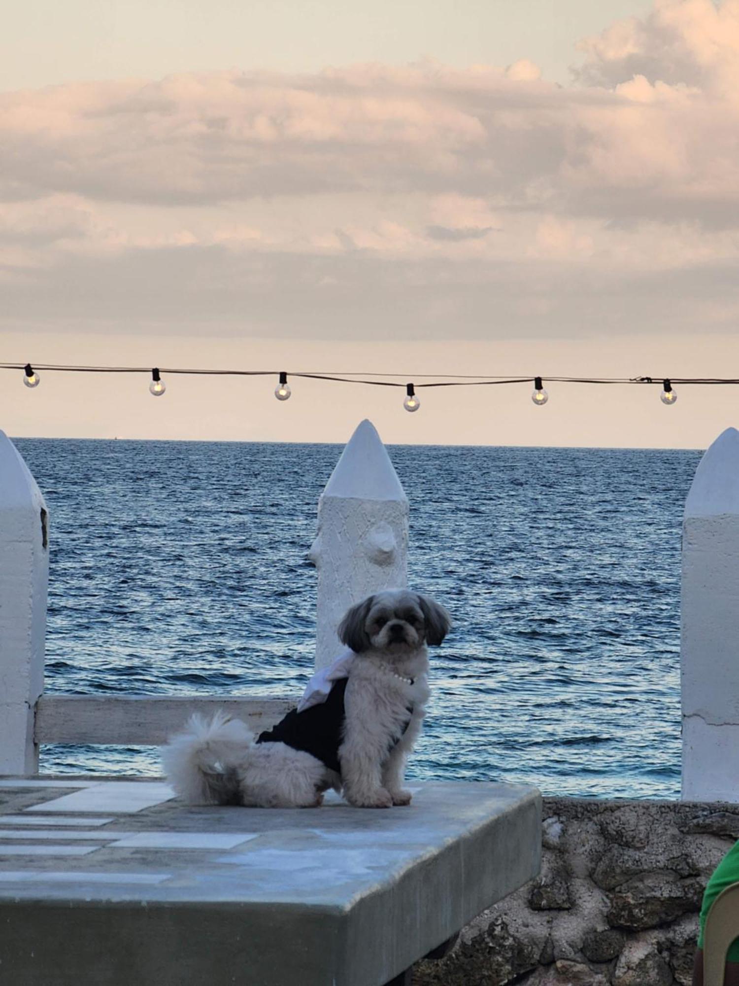 Hotel Golda Coast - Oslob