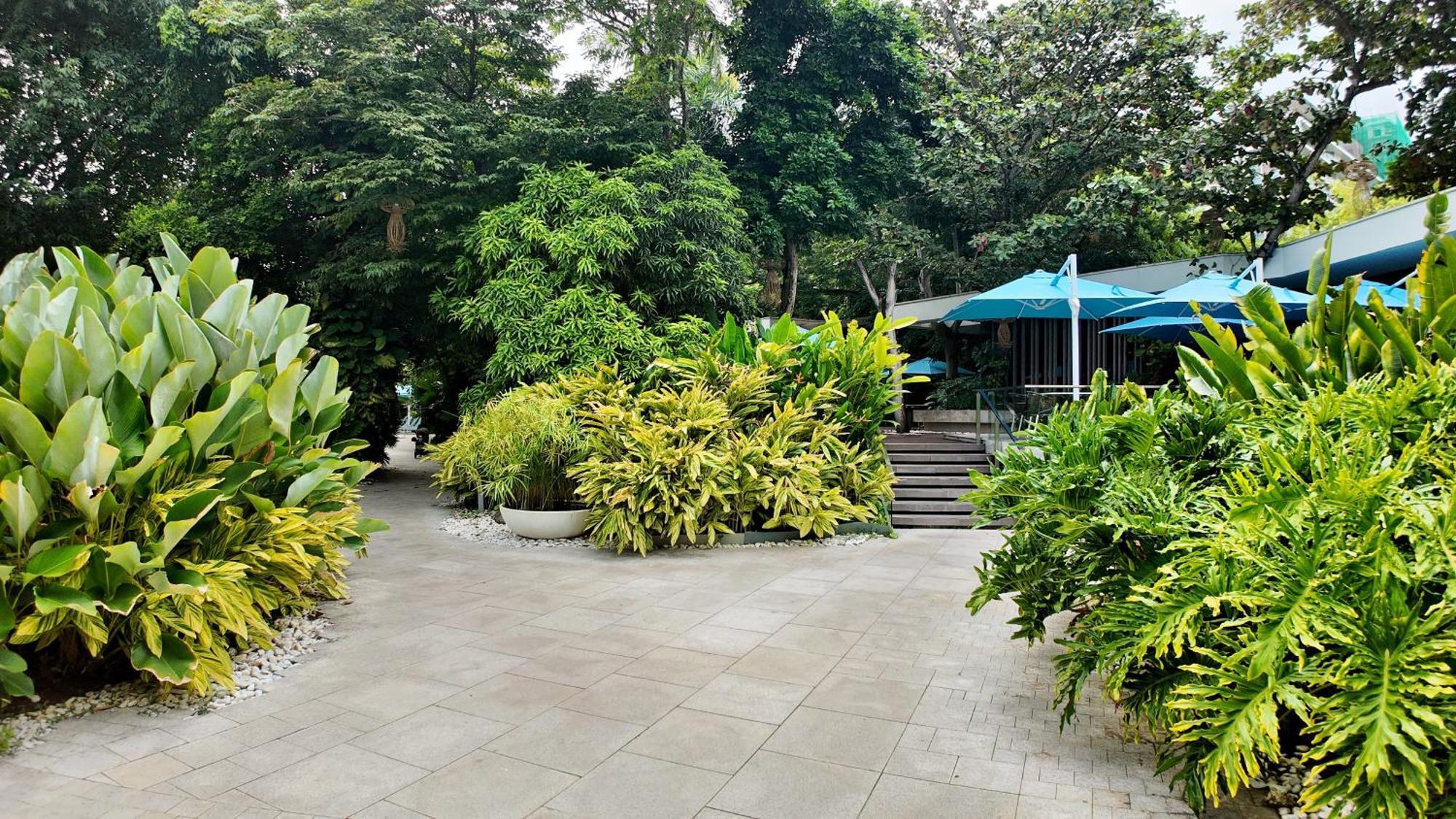 Dominiks Stylish Gem Ocean View Pool Queen Bed At Tambuli 8 Floor Fast Wifi * Lapu-Lapu City