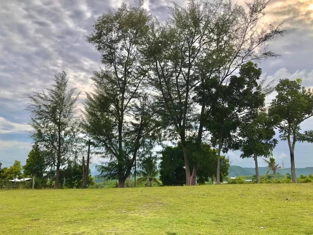 Homestay R & J In Naga Cebu