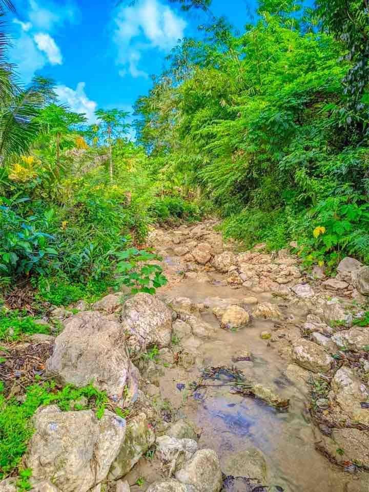Gkg Farm Cebu Ph Carmen (Cebu)