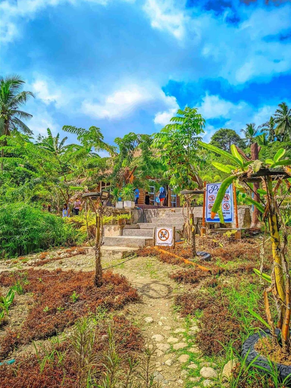 Gkg Farm Cebu Ph *