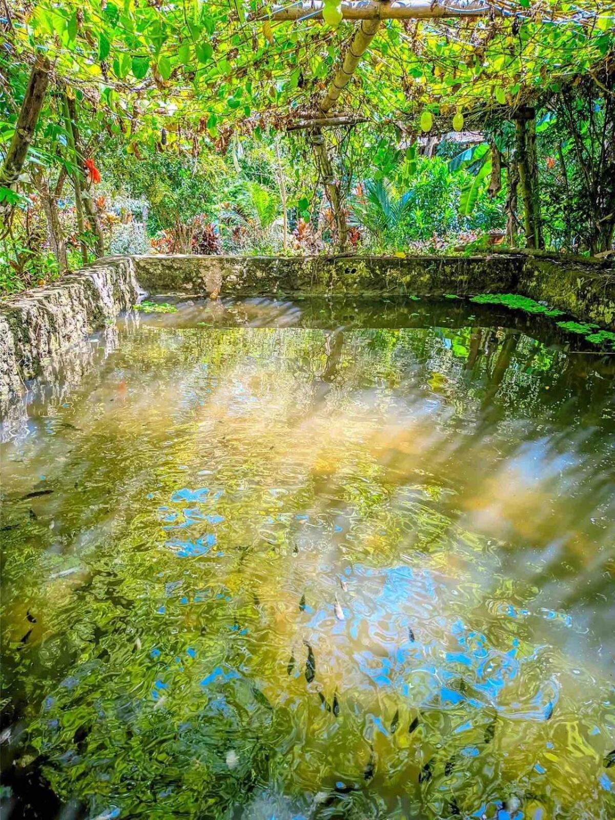 Gkg Farm Cebu Ph