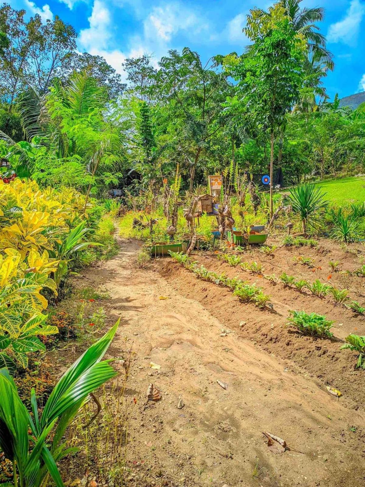 Estadia no rancho Gkg Farm Cebu Ph