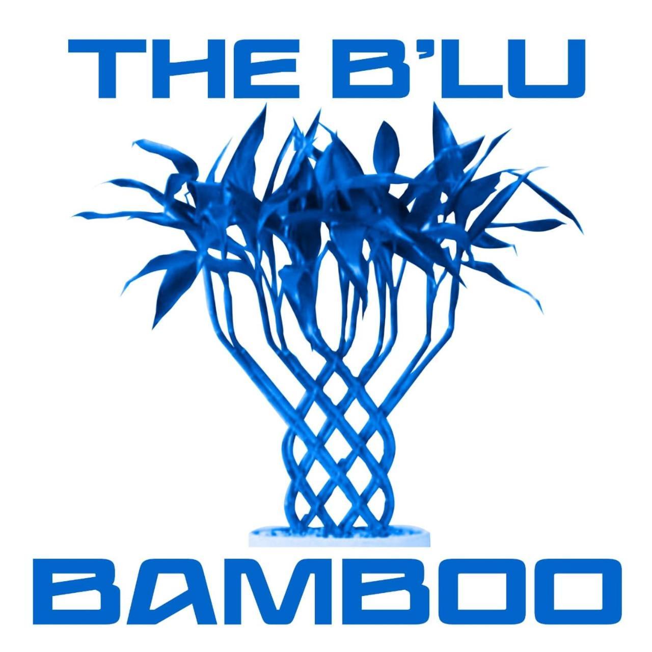 B'lu Bamboo Hotel Moalboal