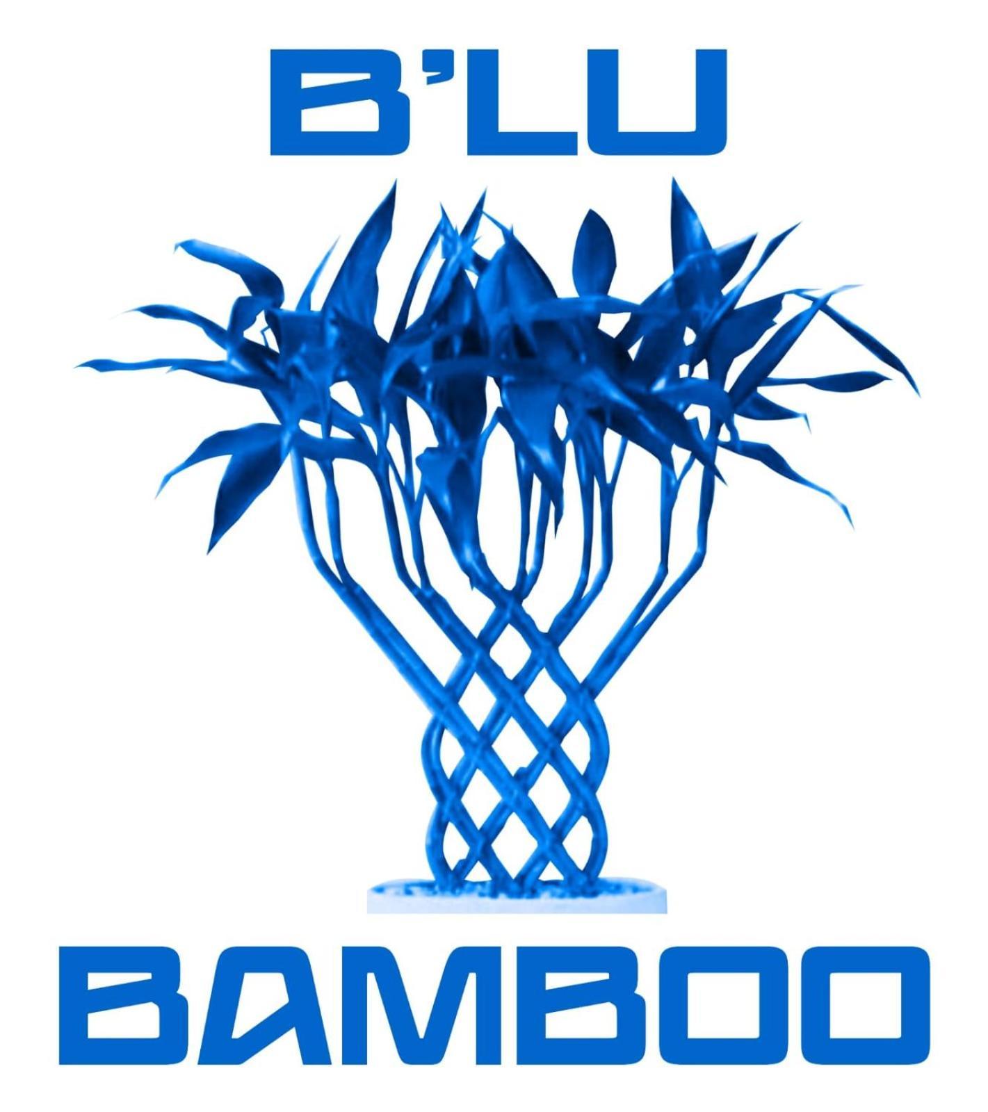 Hotel B'lu Bamboo *