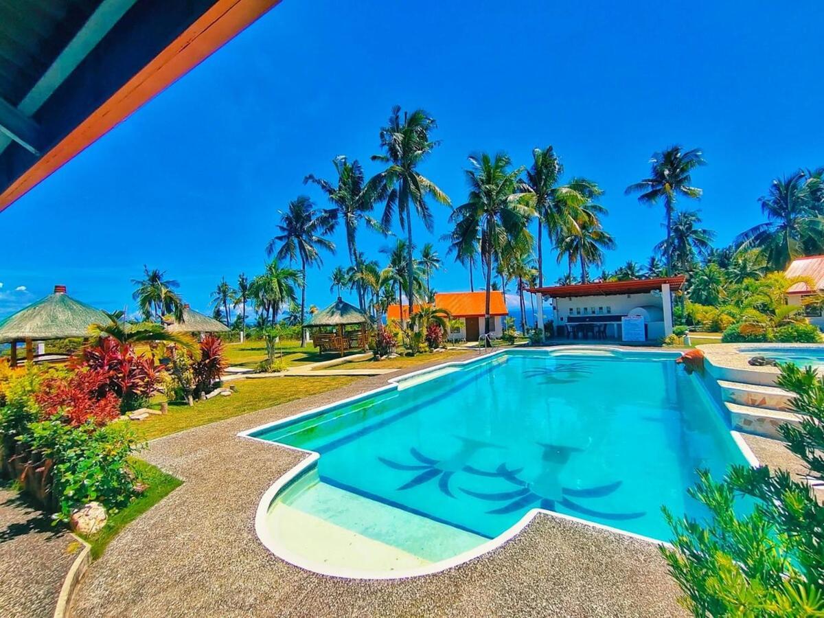Andromeda Or Family Dalaguete