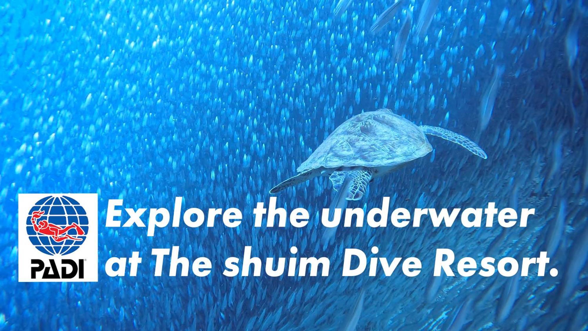The Shuim Dive Moalboal